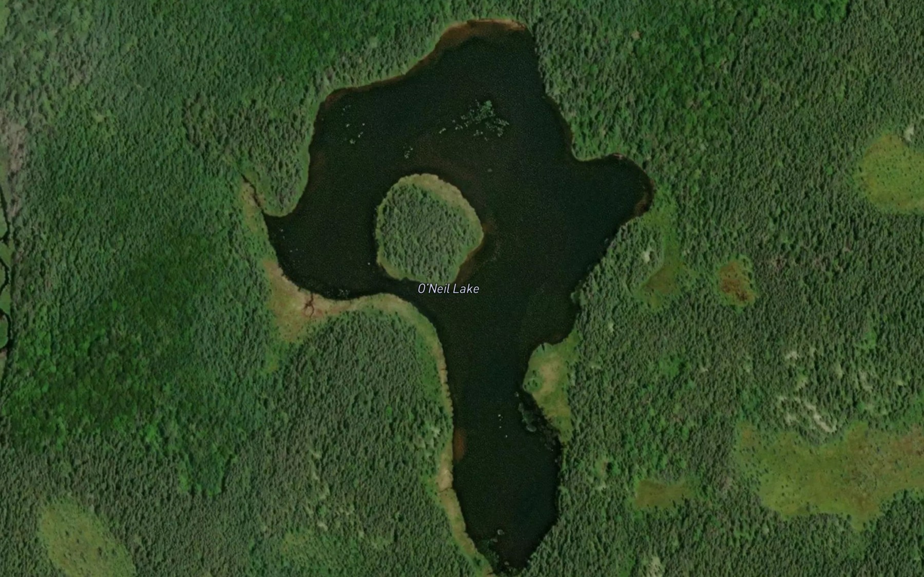 Satellite map of the O'Neil Lake