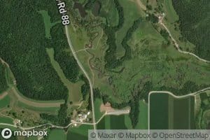 Screech Owl Creek