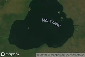 Moss Lake