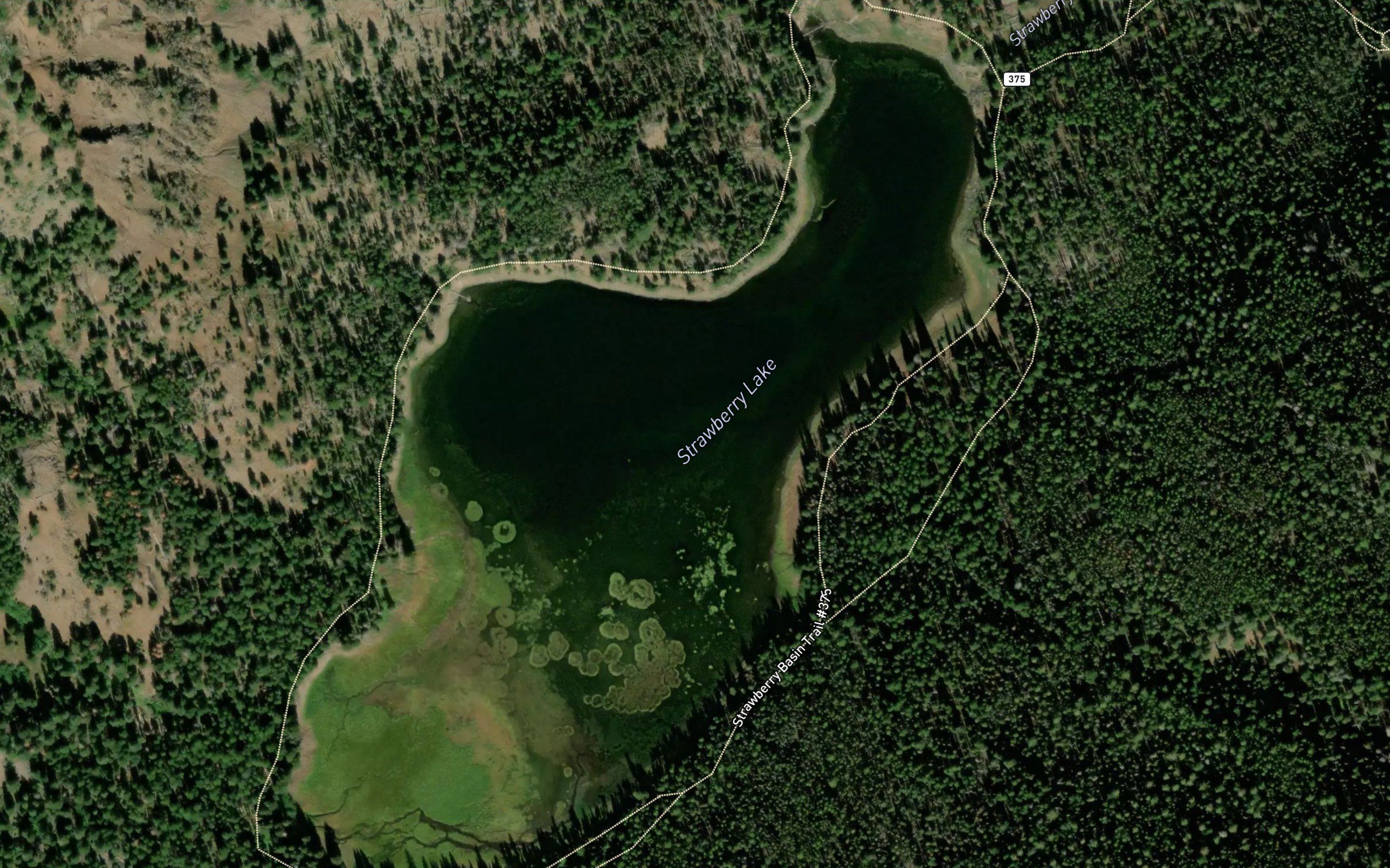 Strawberry Lake