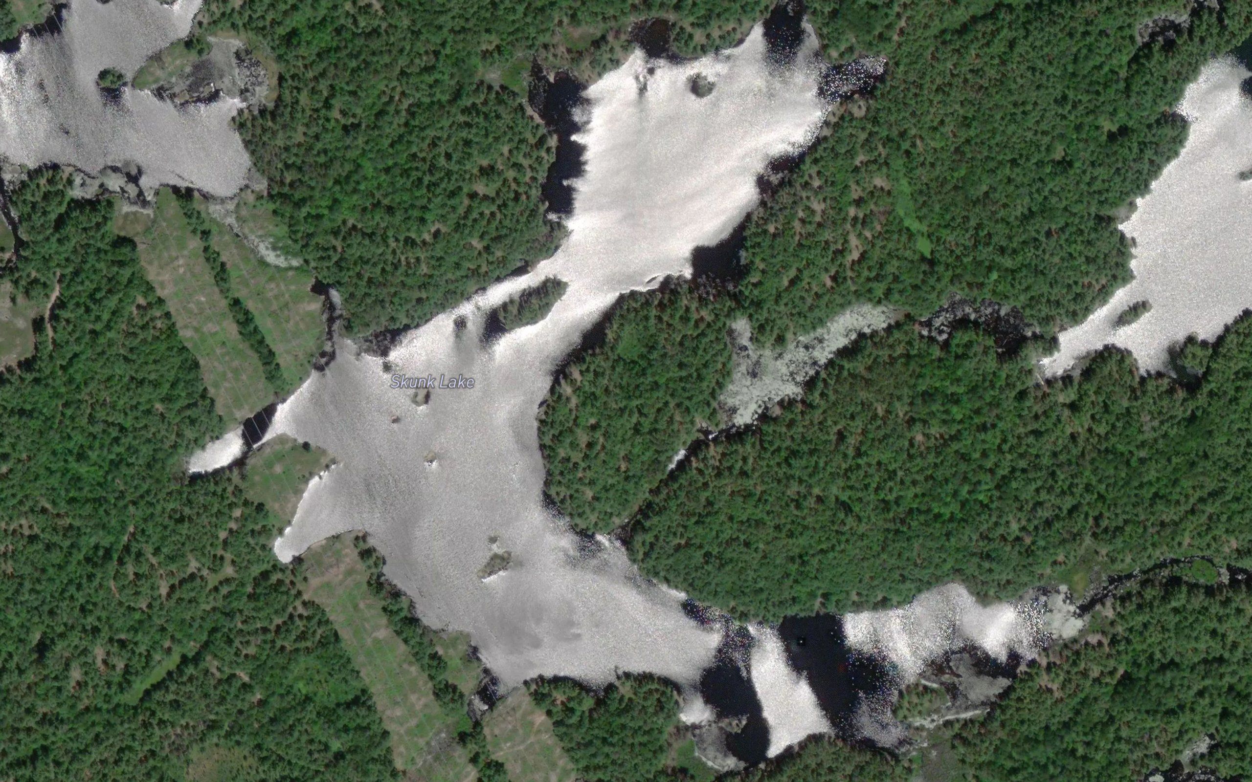Skunk Lake