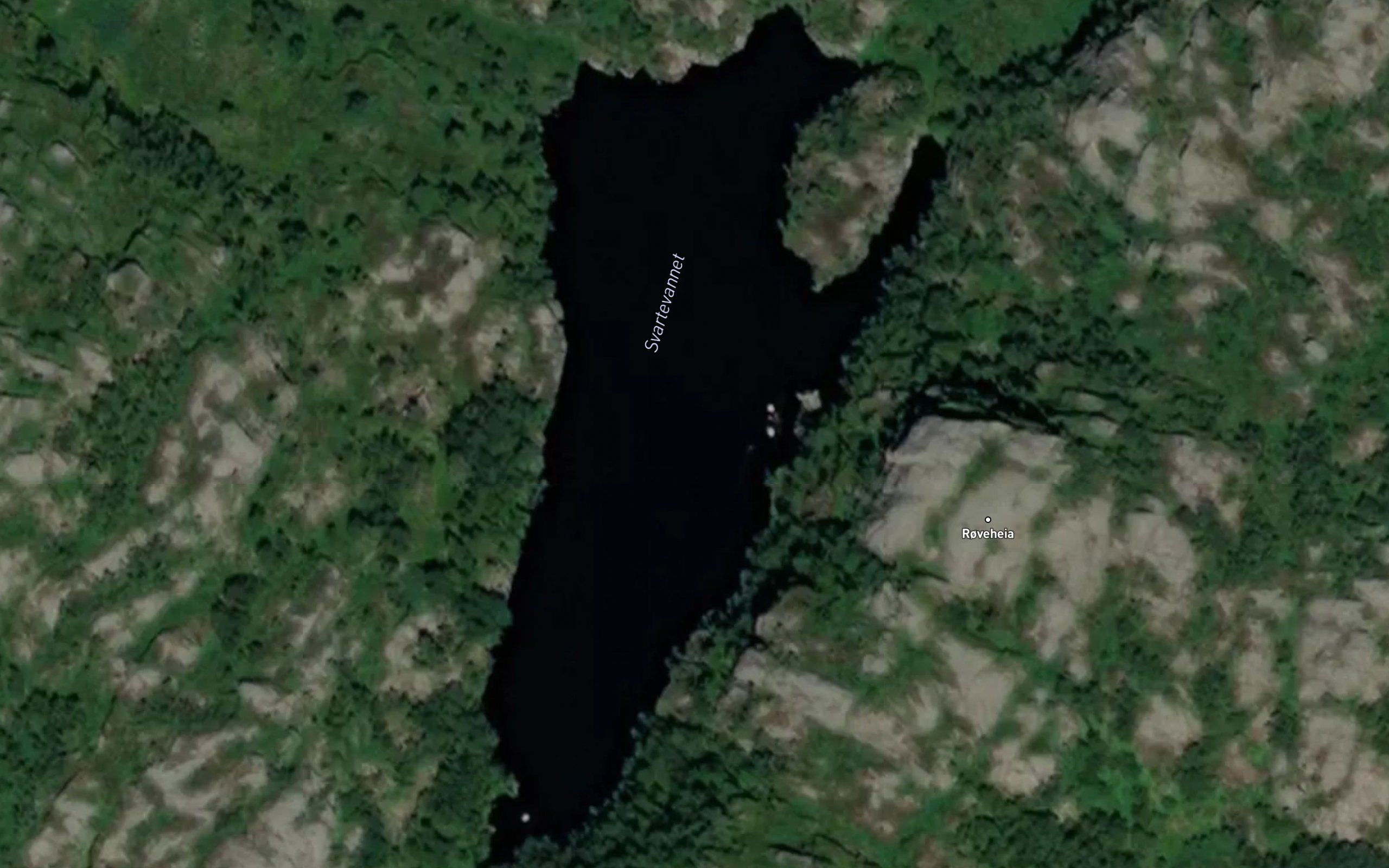 Svartevannet