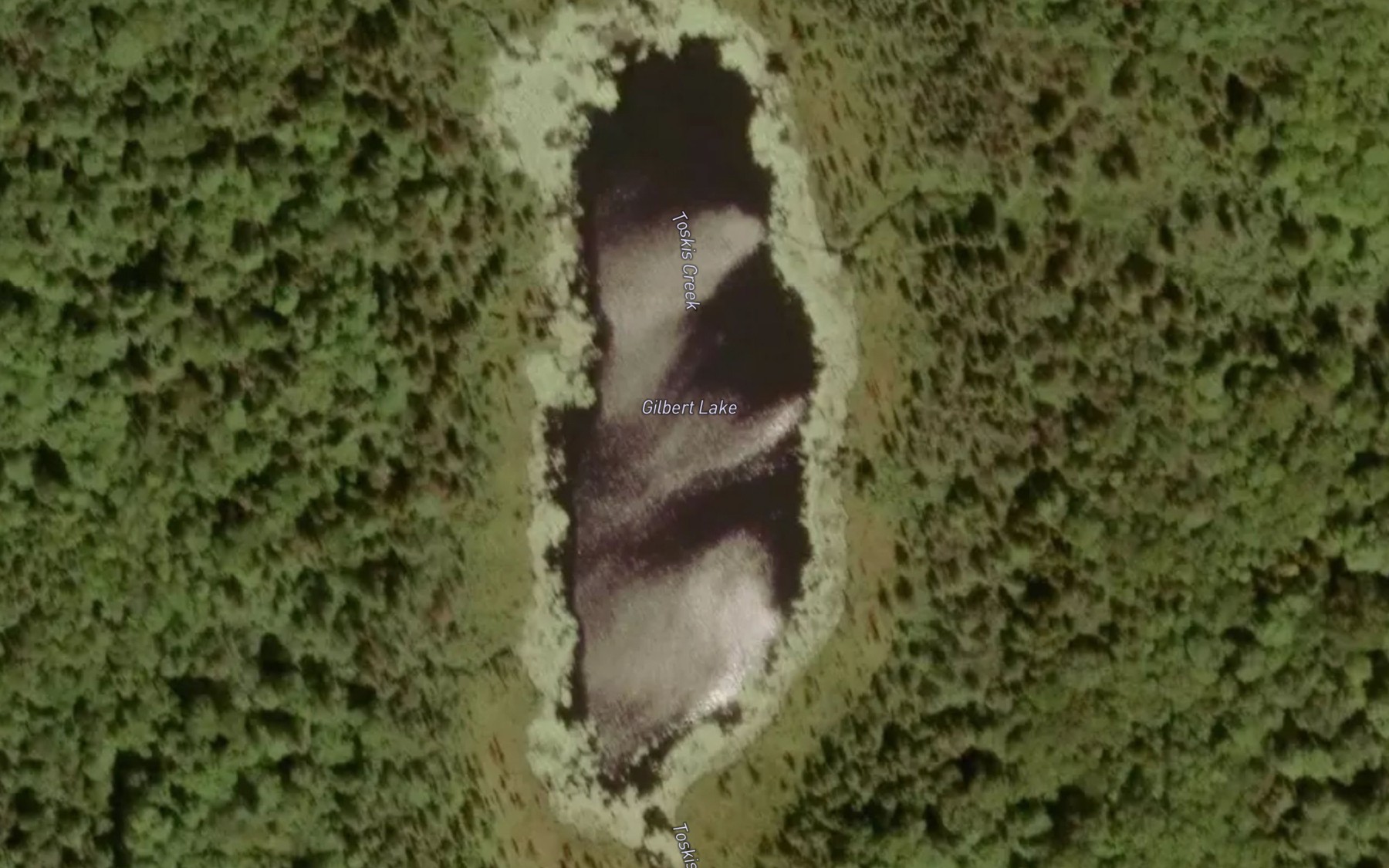 Satellite map of the Gilbert Lake