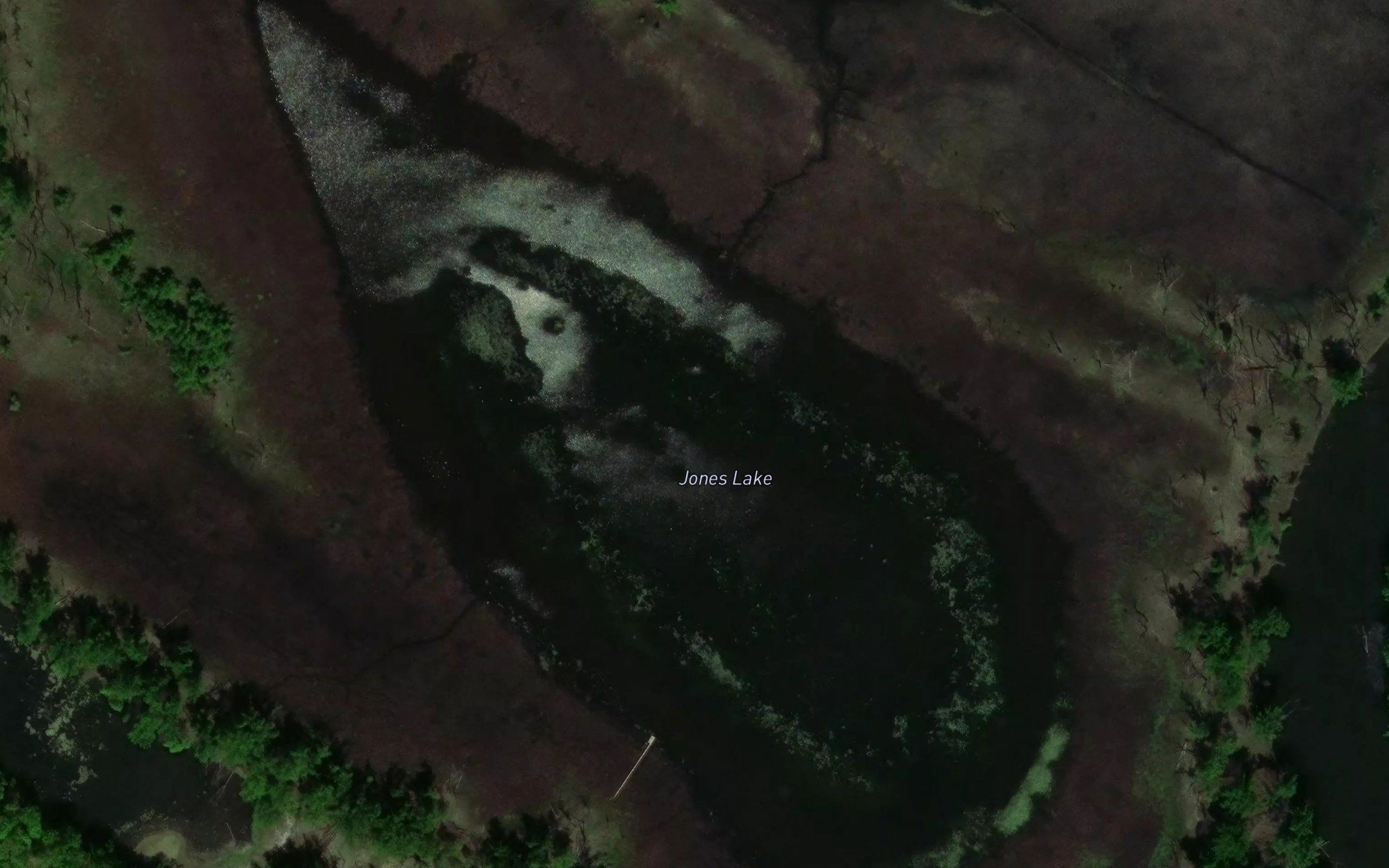 Jones Lake