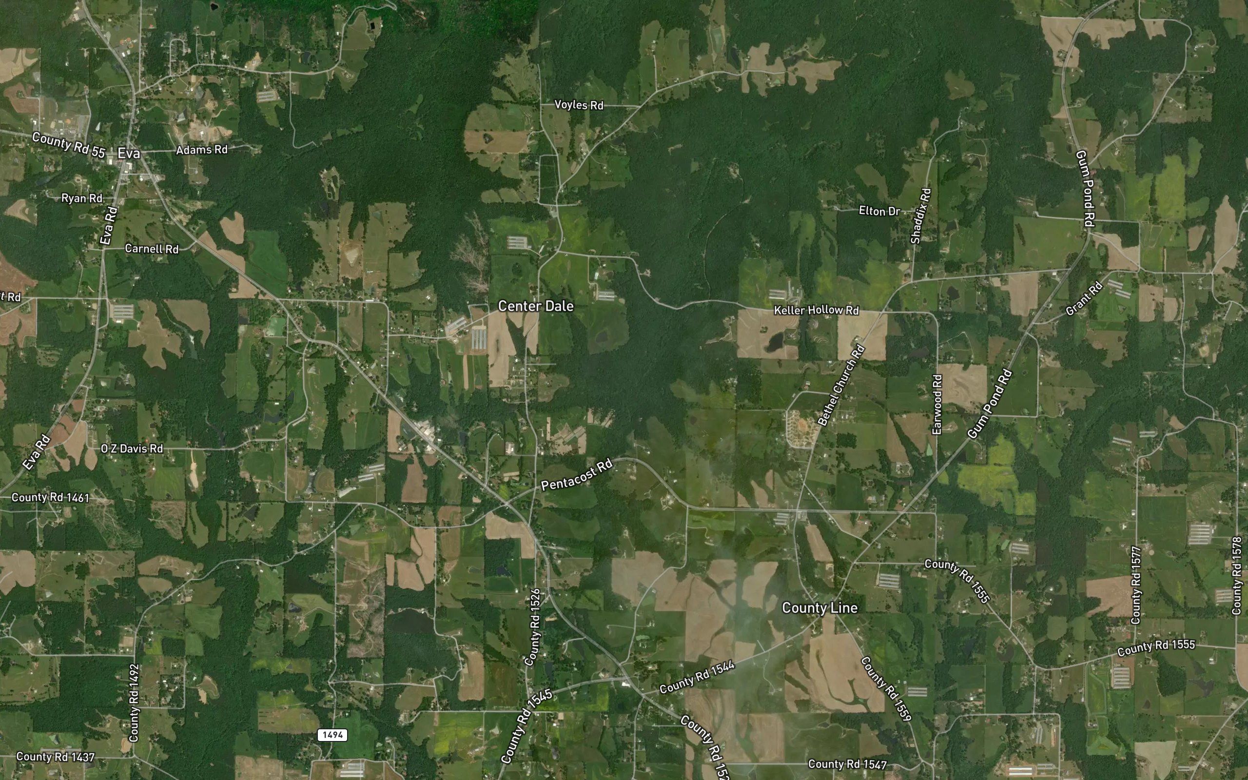 Pruitt Branch
