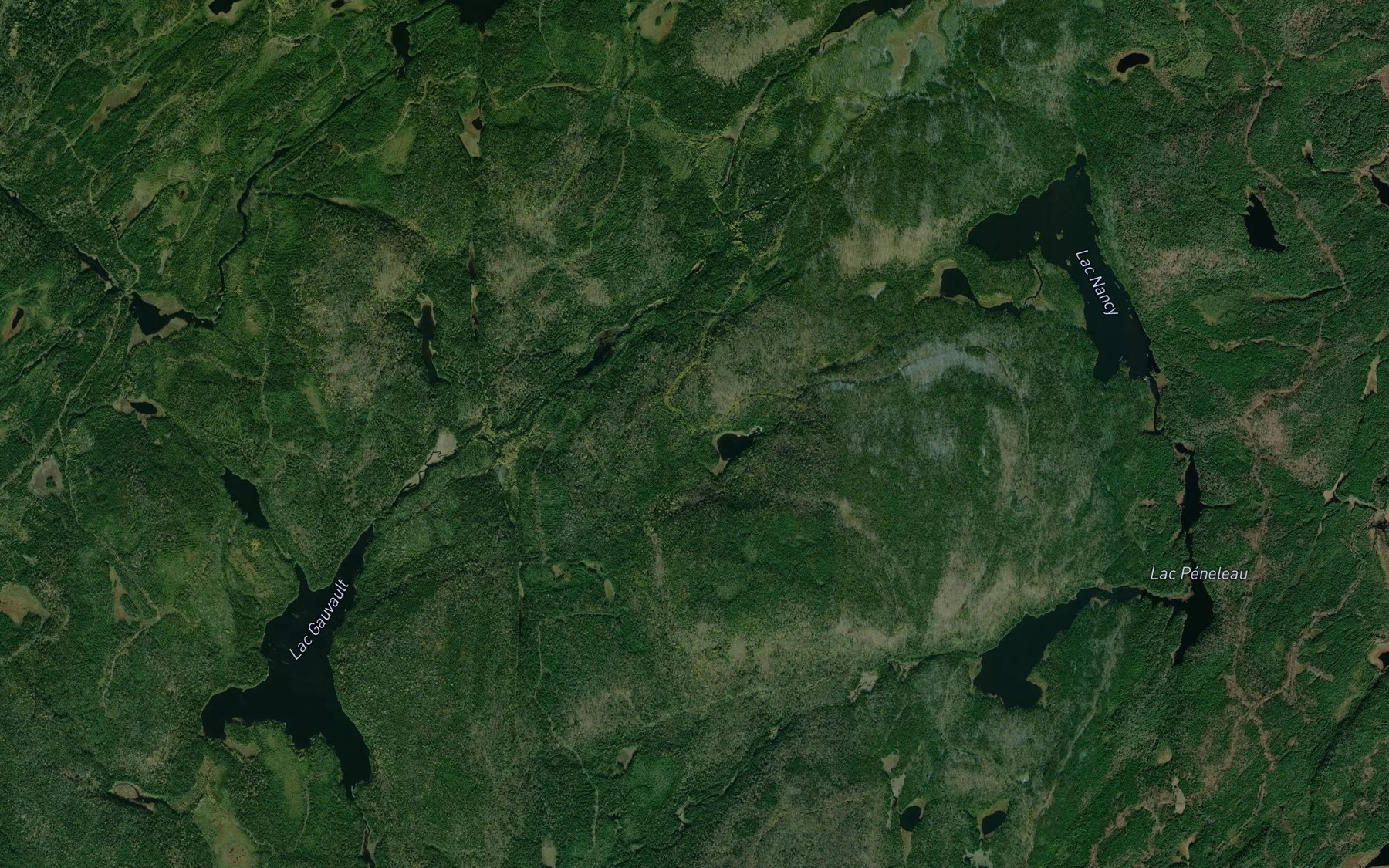 Satellite map of the Lac de la Raison