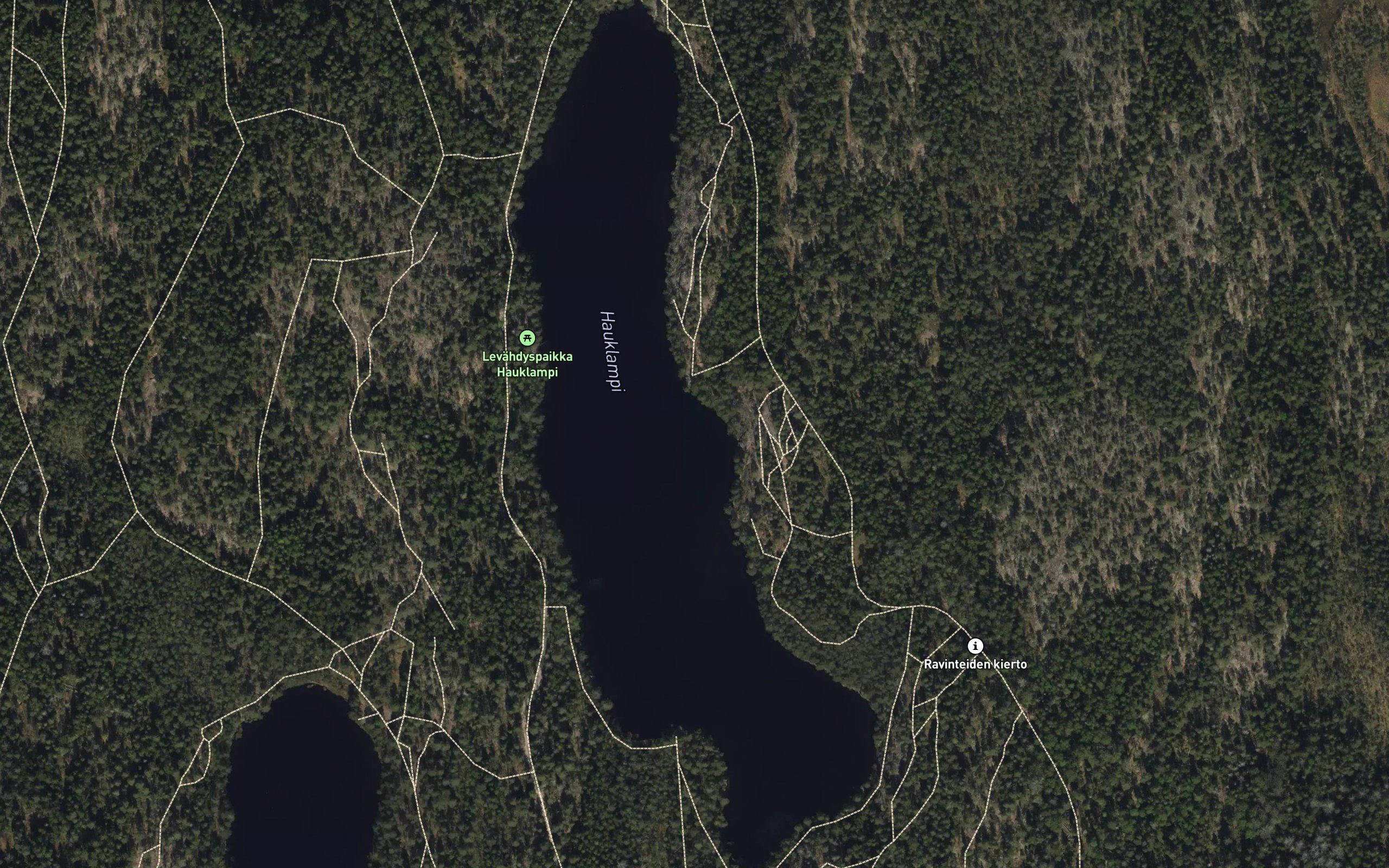 Hauklampi
