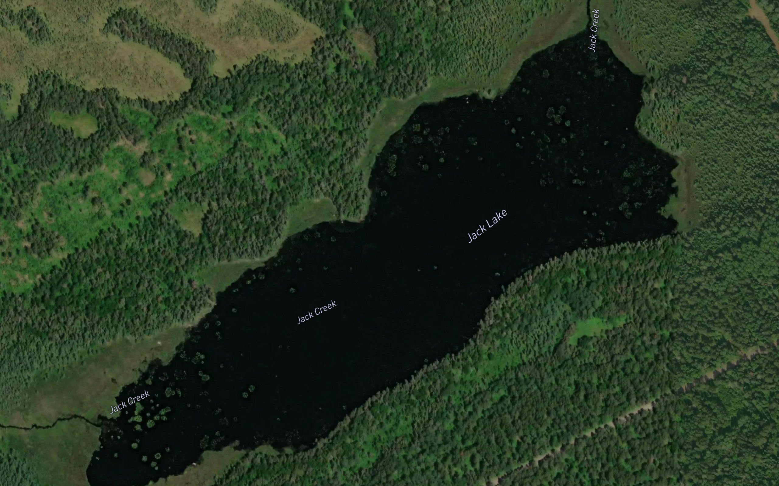 Jack Lake