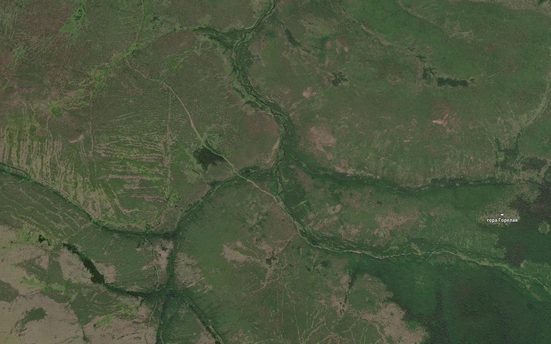 Satellite map of the Shumnyy