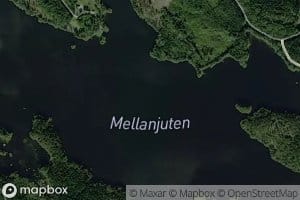 Mellanjuten