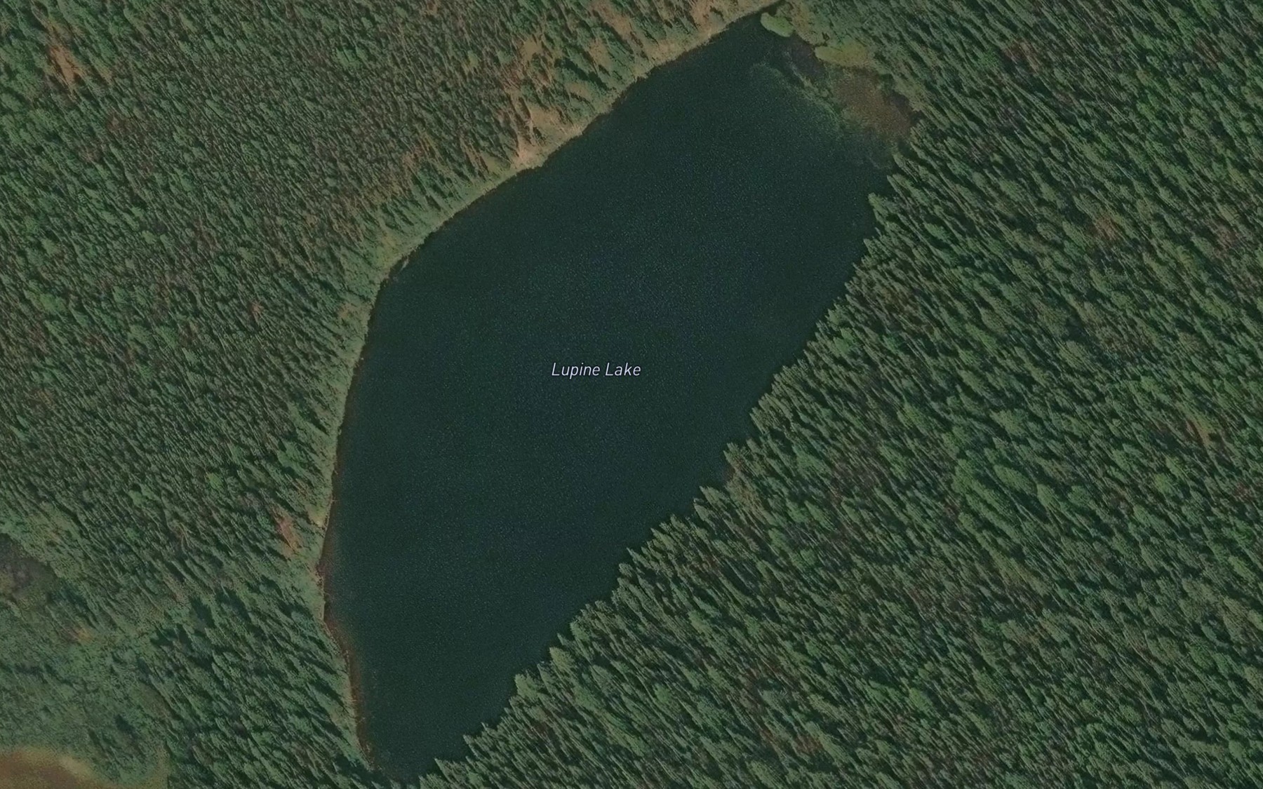 Satellite map of the Lupine Lake