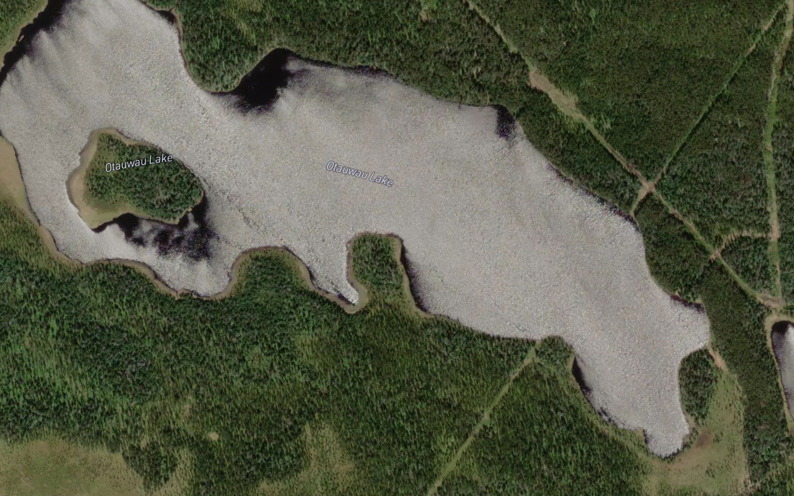 Otauwau Lake