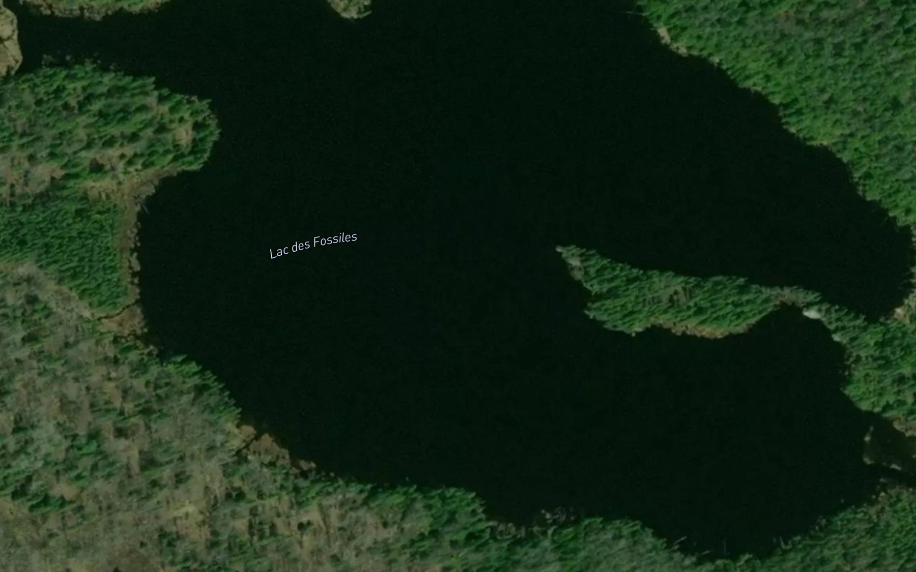 Satellite map of the Lac des Fossiles