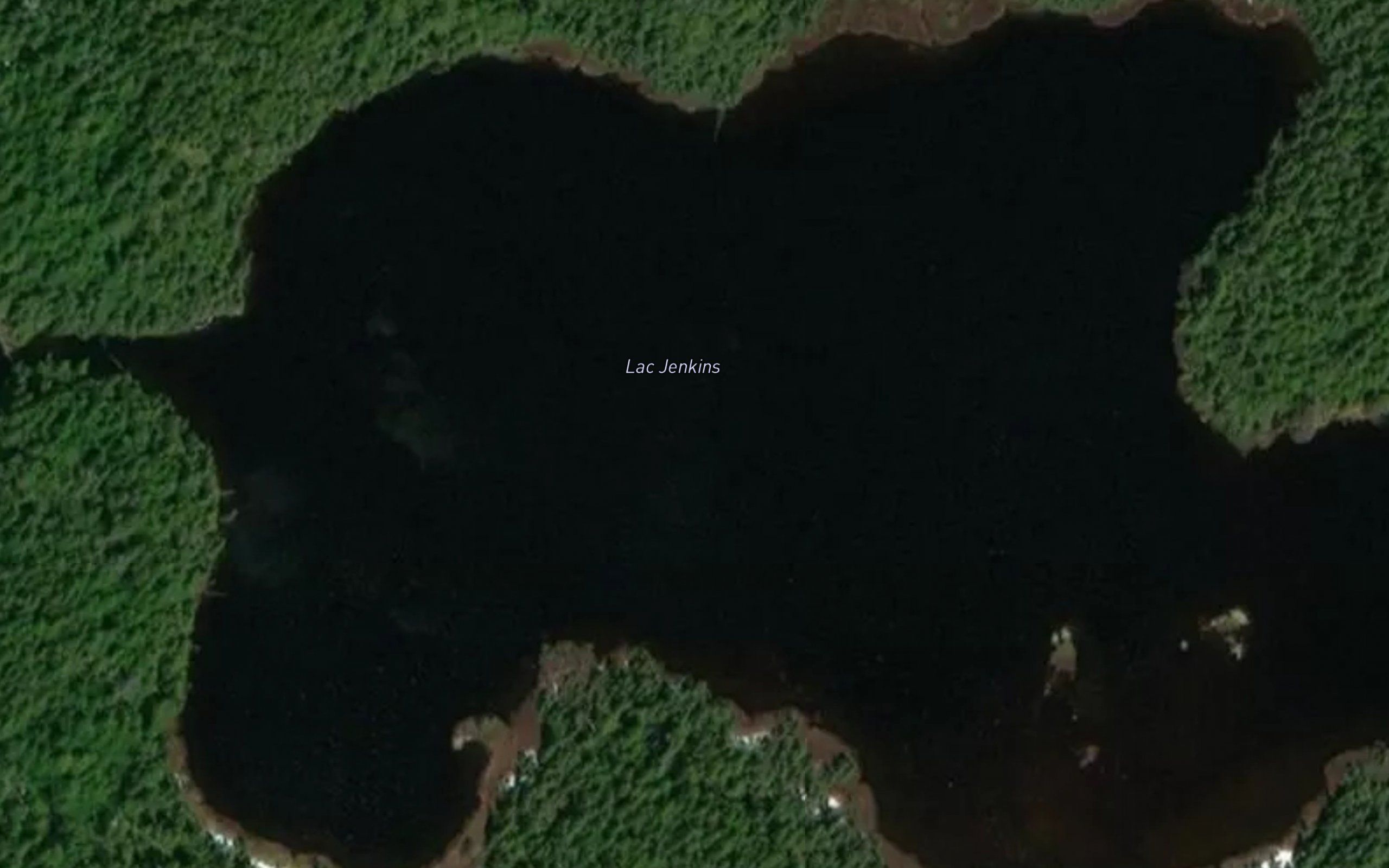Lac Jenkins
