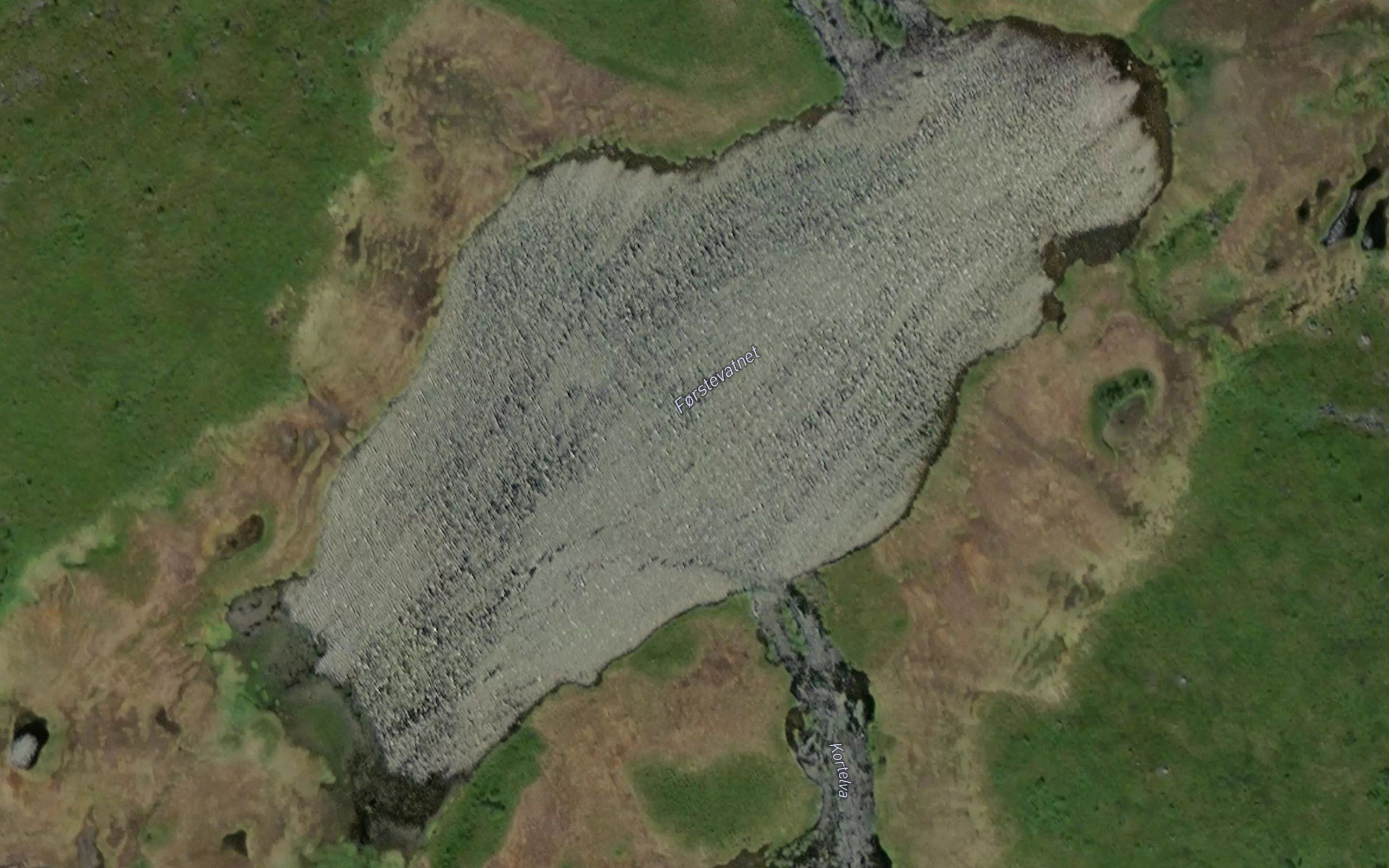 Forstevatnet