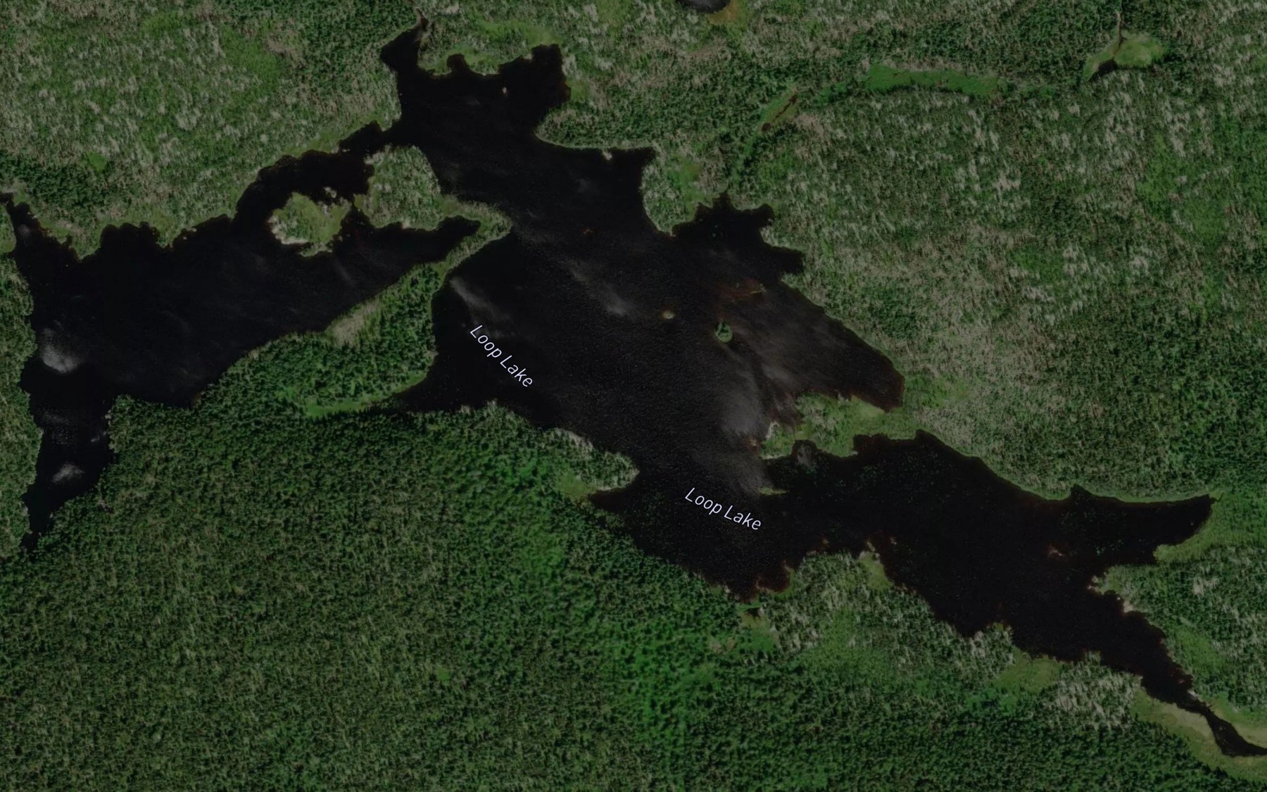 Satellite map of the Loop Lake