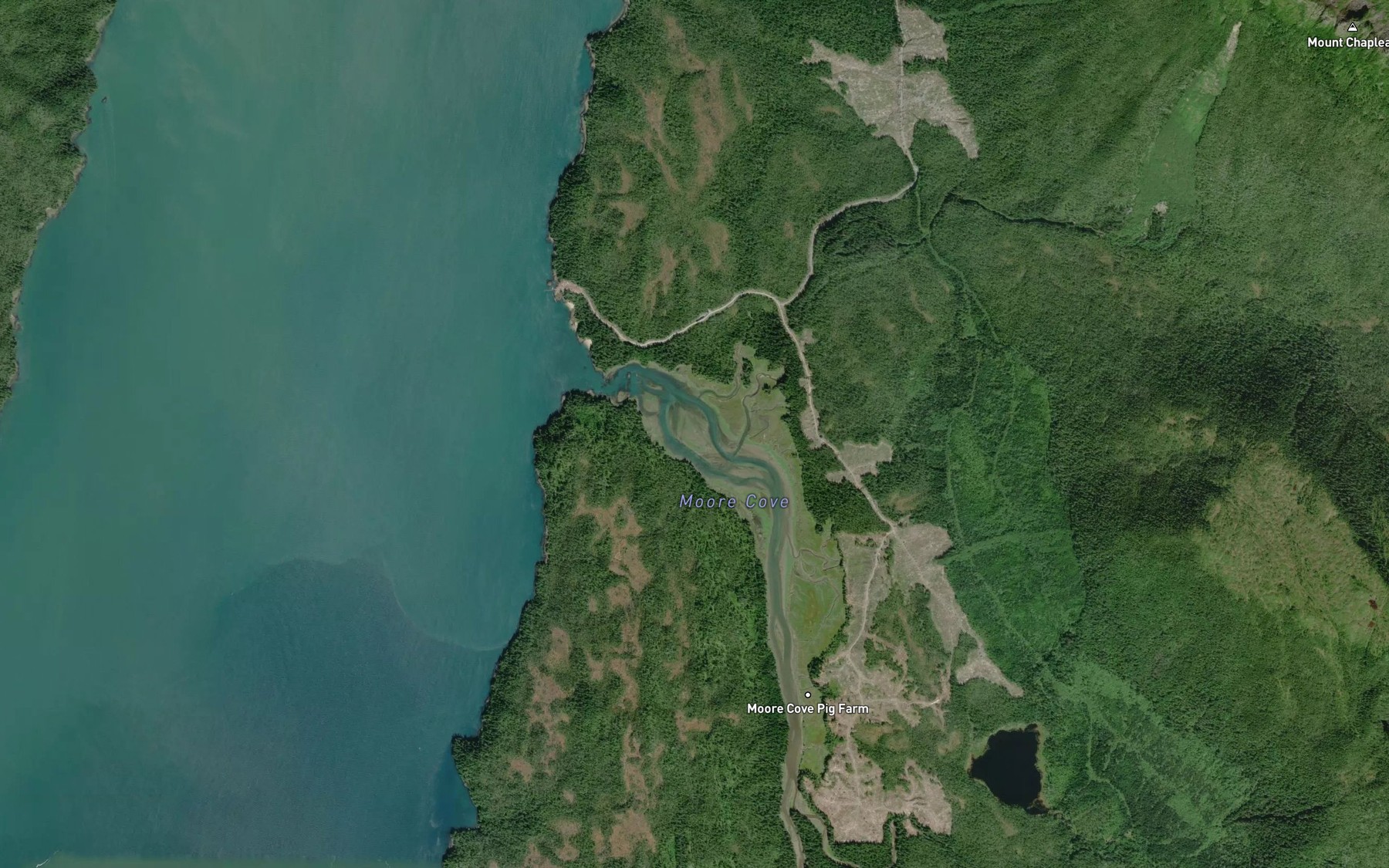 Satellite map of the Moore Cove