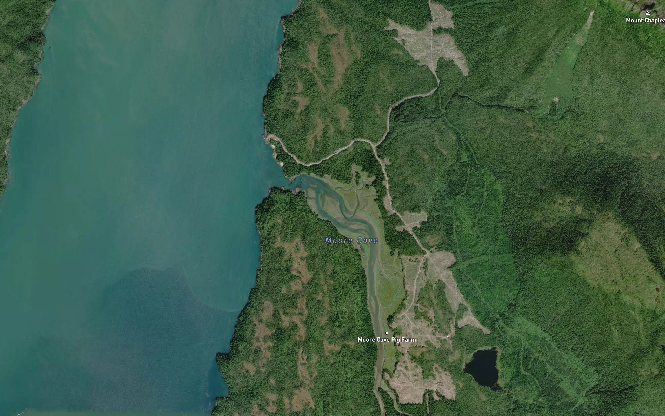 Moore Cove