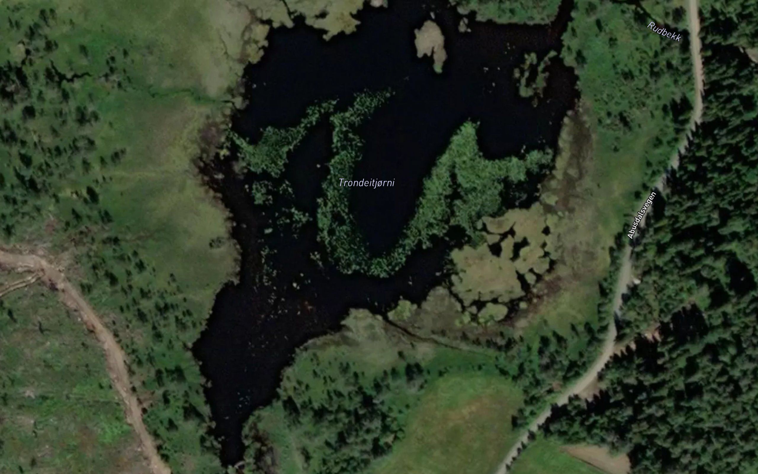 Trondeidtjonn