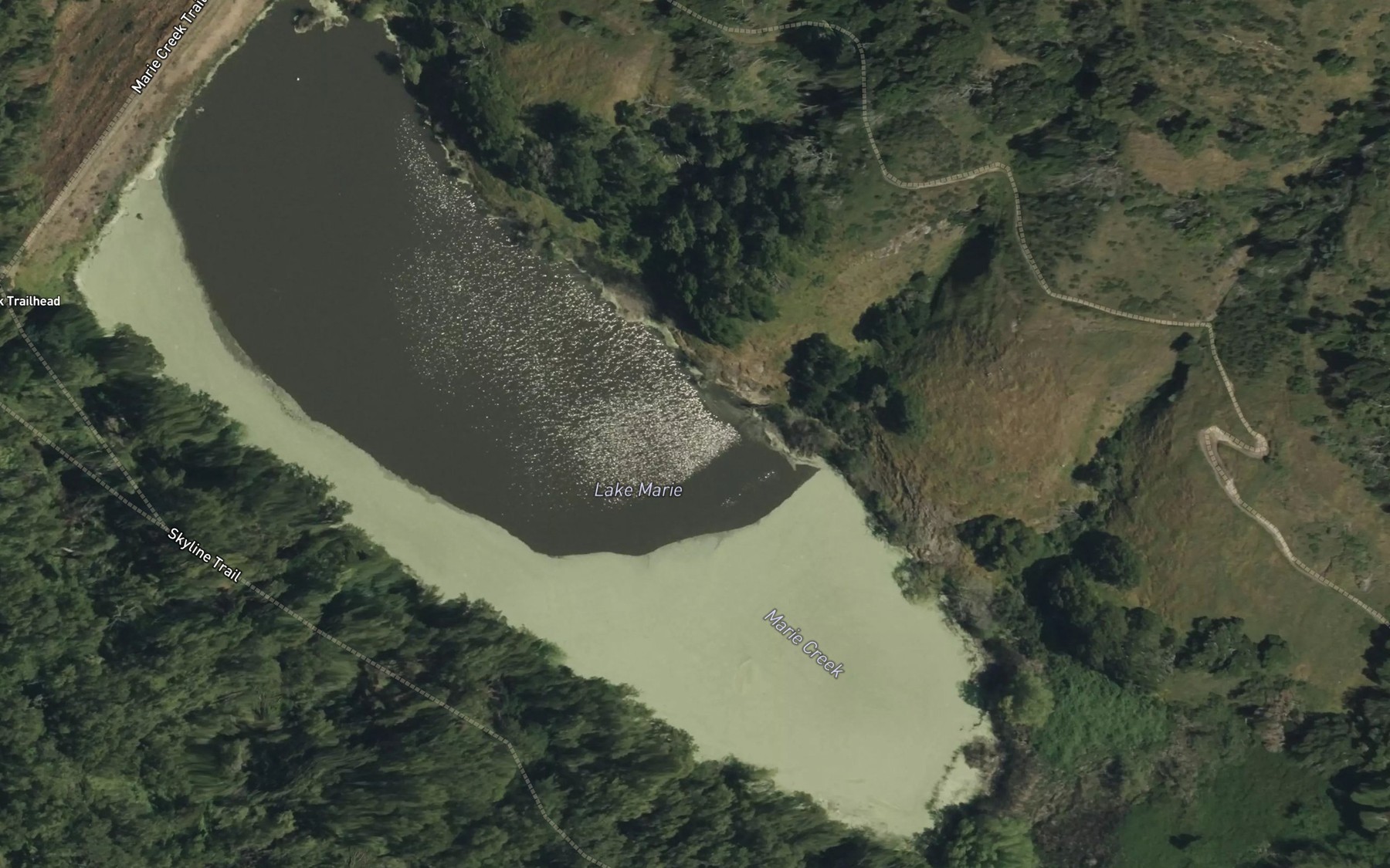 Satellite map of the Lake Marie
