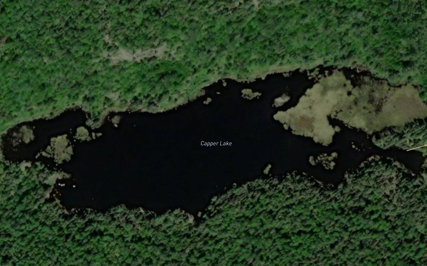 Satellite map of the Capper Lake