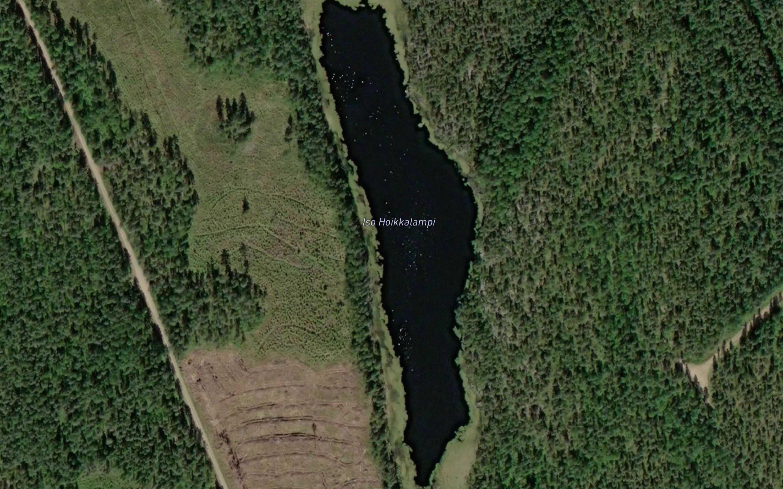 Iso Hoikkalampi