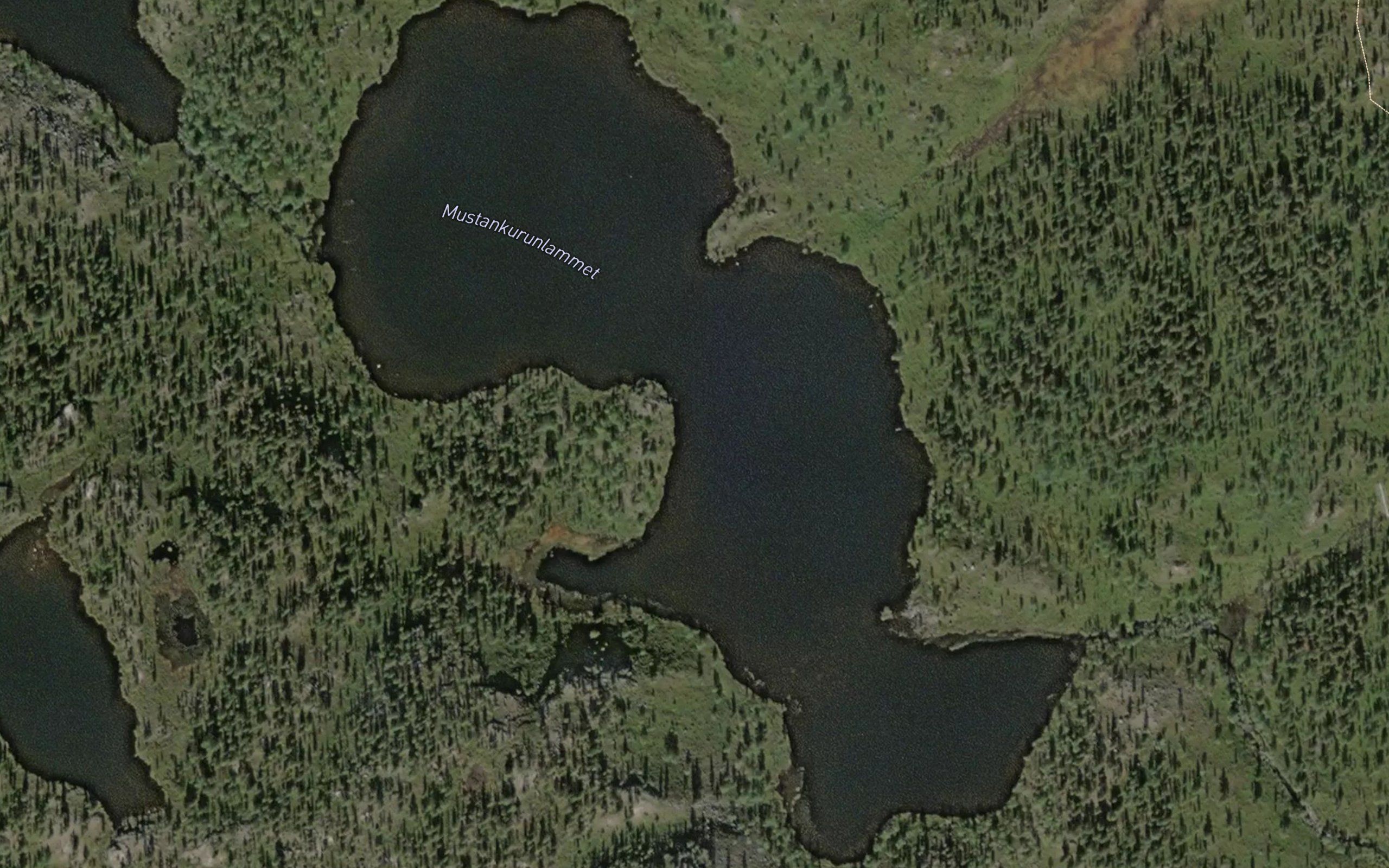 Mustankurunlammet
