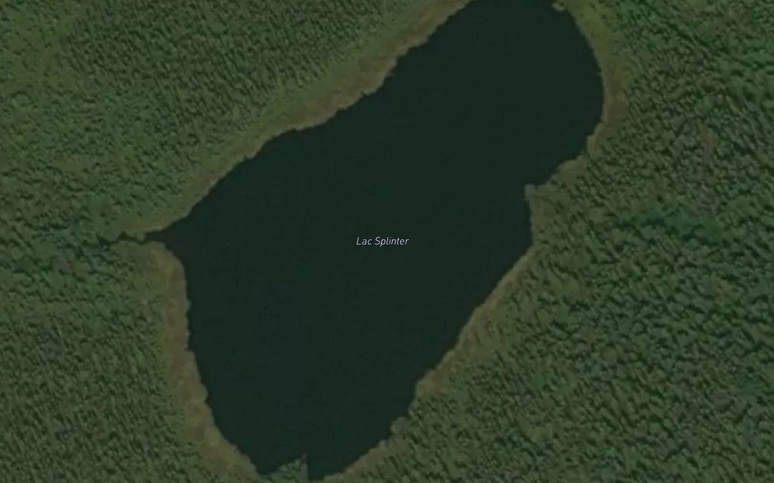 Lac Splinter