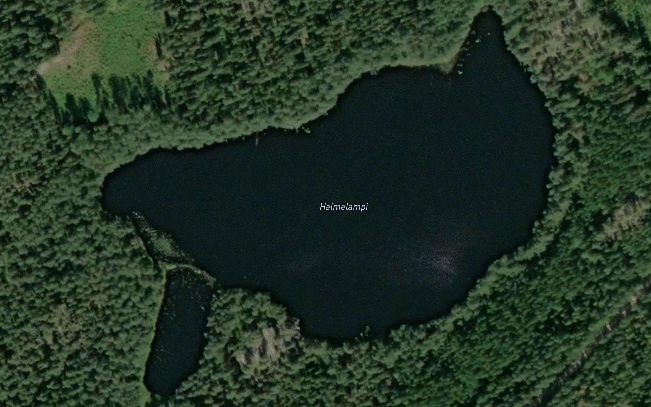 Halmelampi