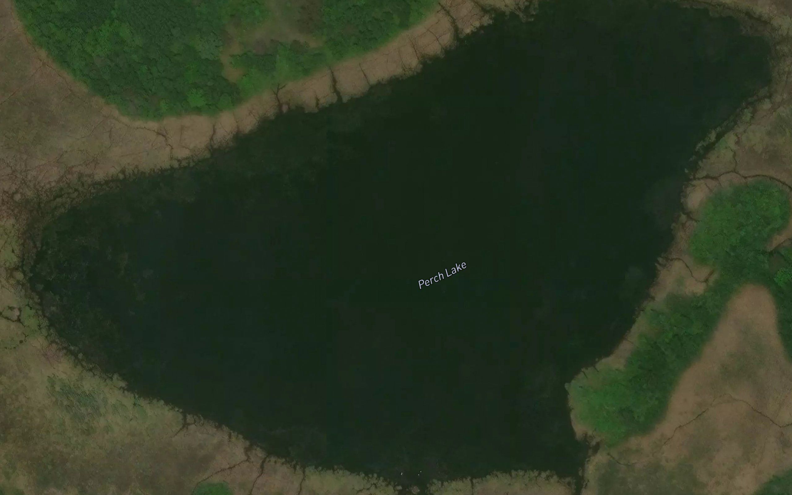 Perch Lake