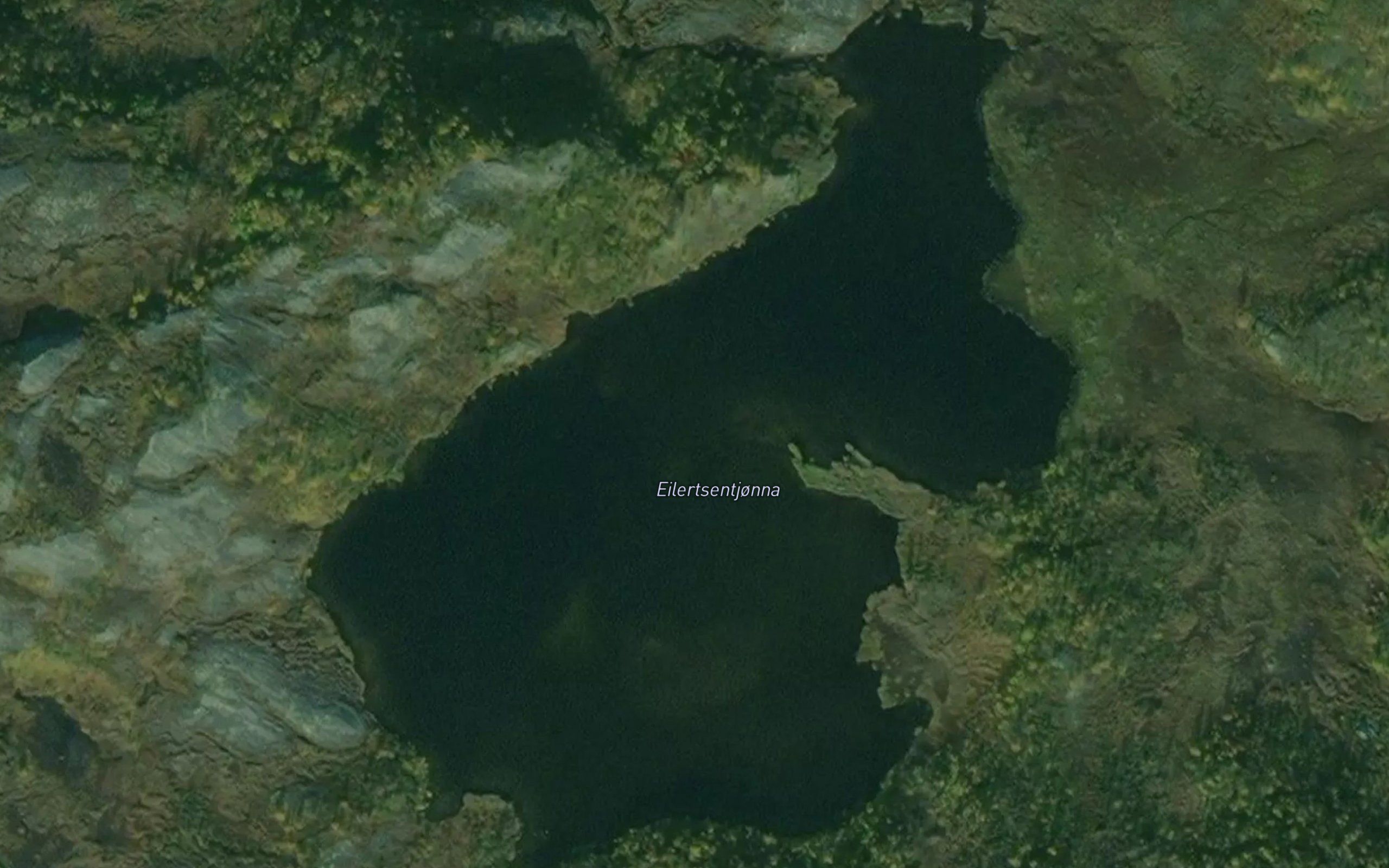 Bleikingstjorna