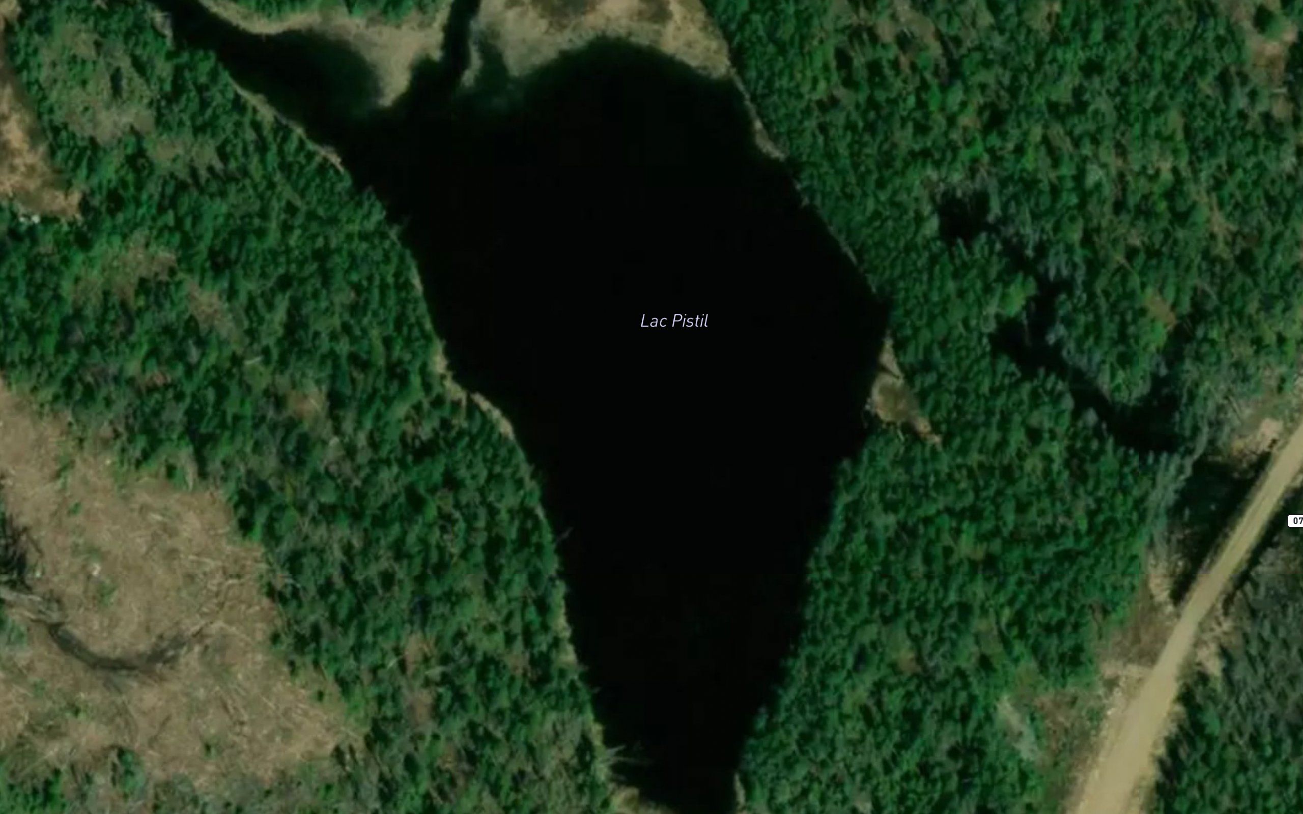 Lac Pistil