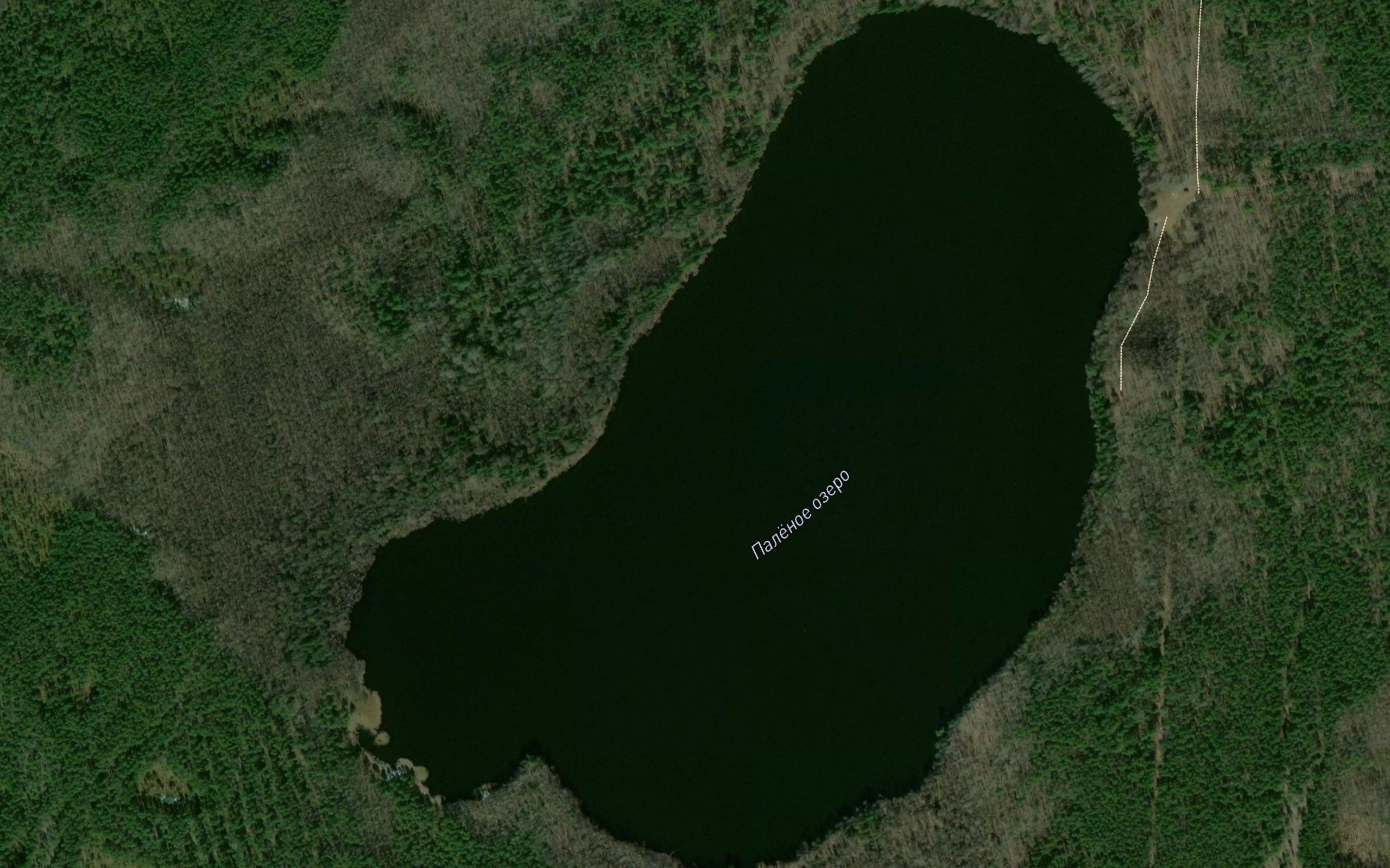Ozero Palenoye