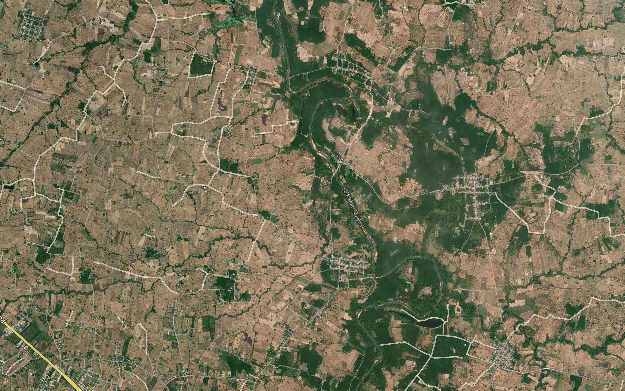 Nong Yai