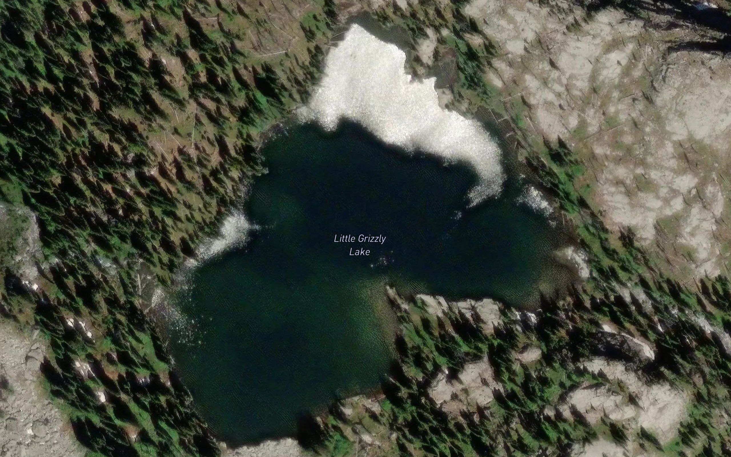 Little Grizzly Lake