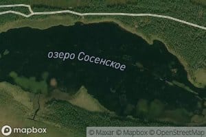 Ozero Sosenskoye