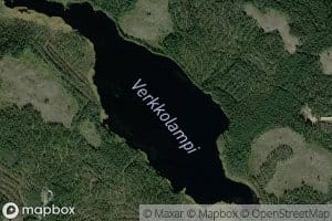 Verkkolampi