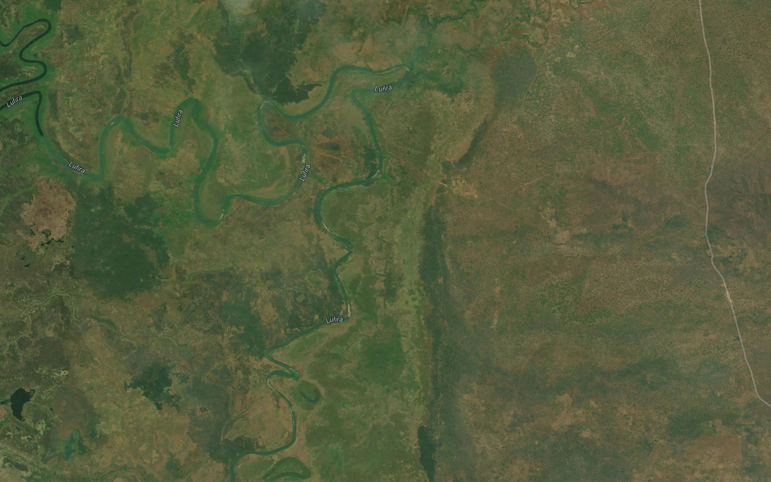 Kisenga