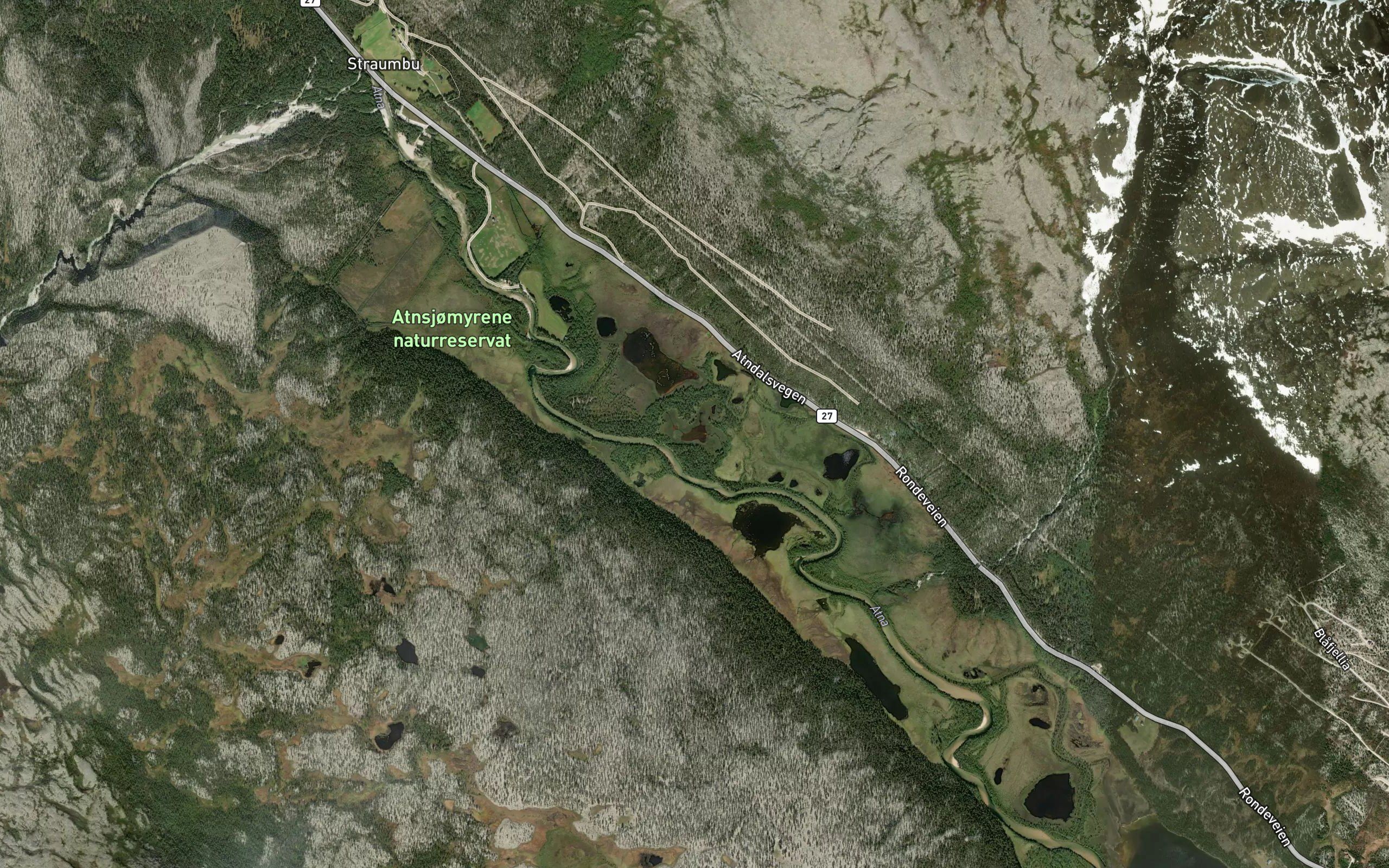 Holmtjonne
