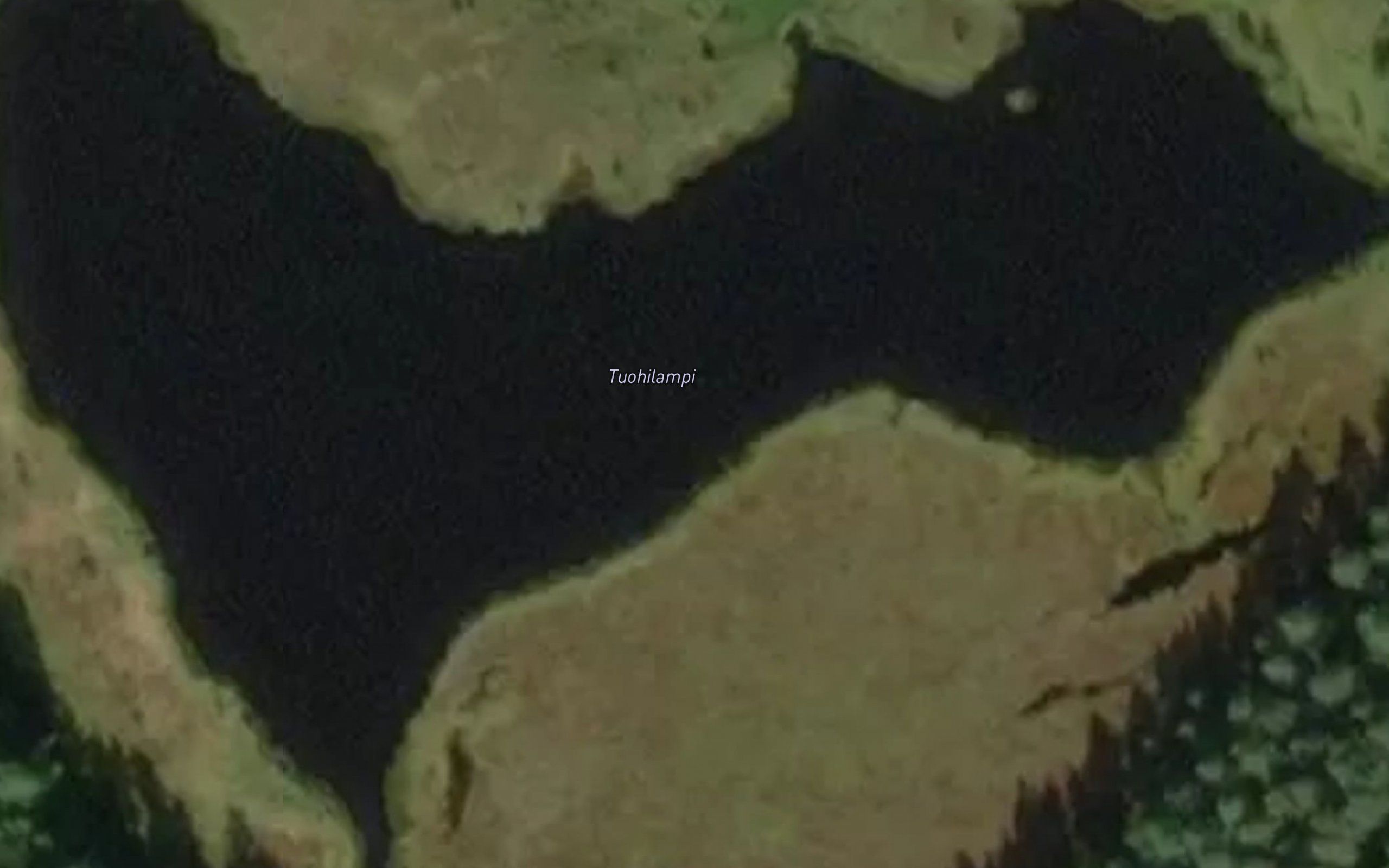 Tuohilampi