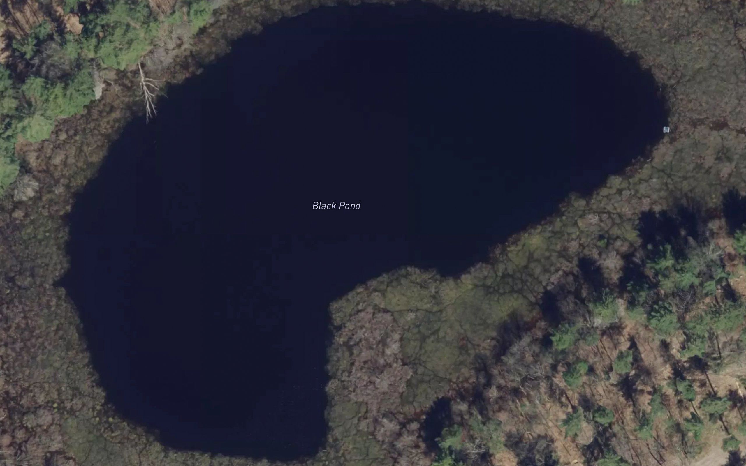 Black Pond