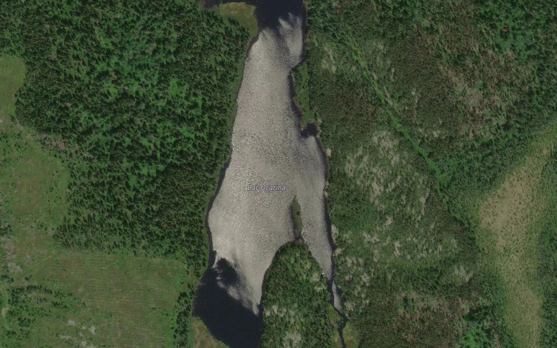 Satellite map of the Lac Ocarina