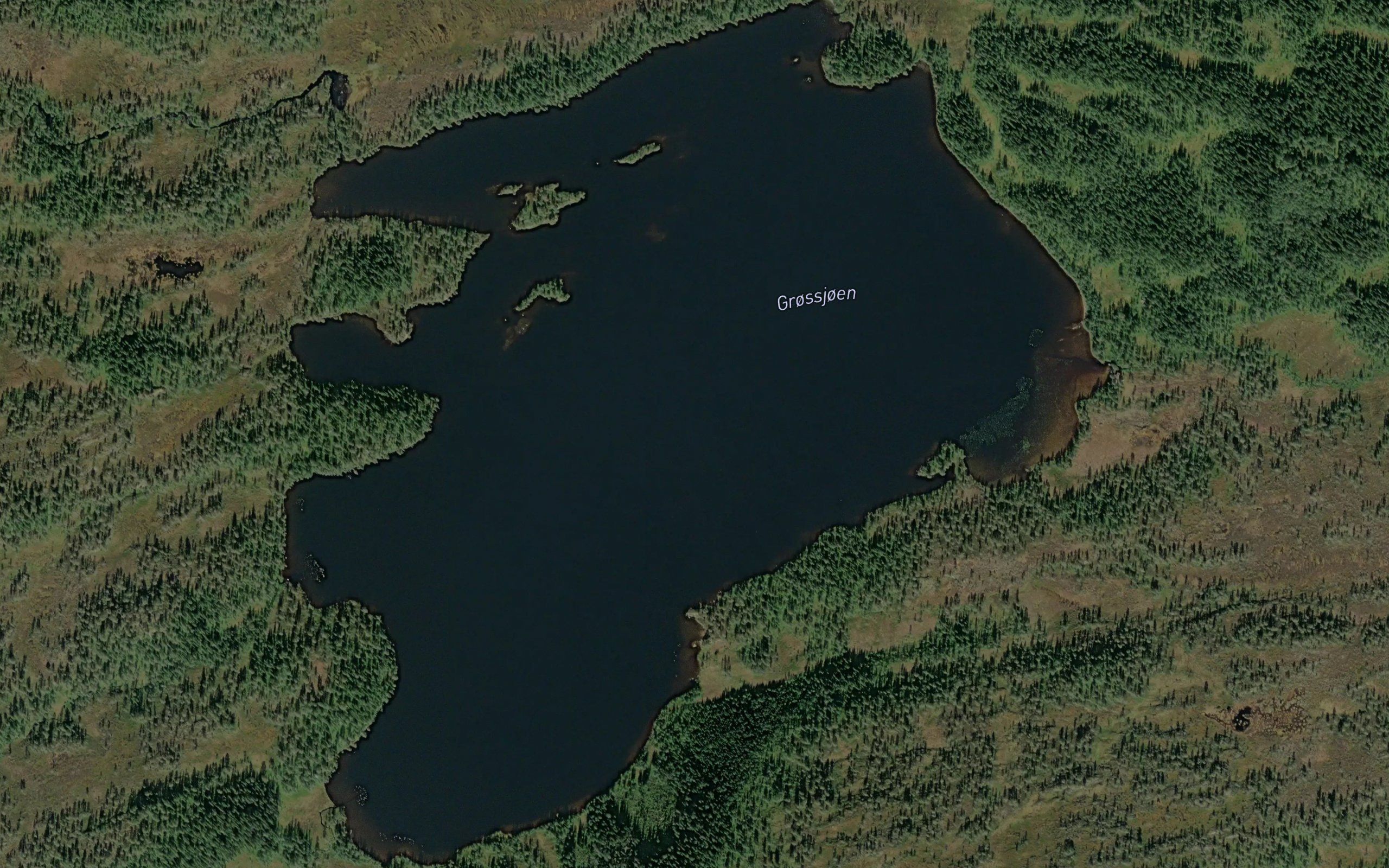 Grossjoen