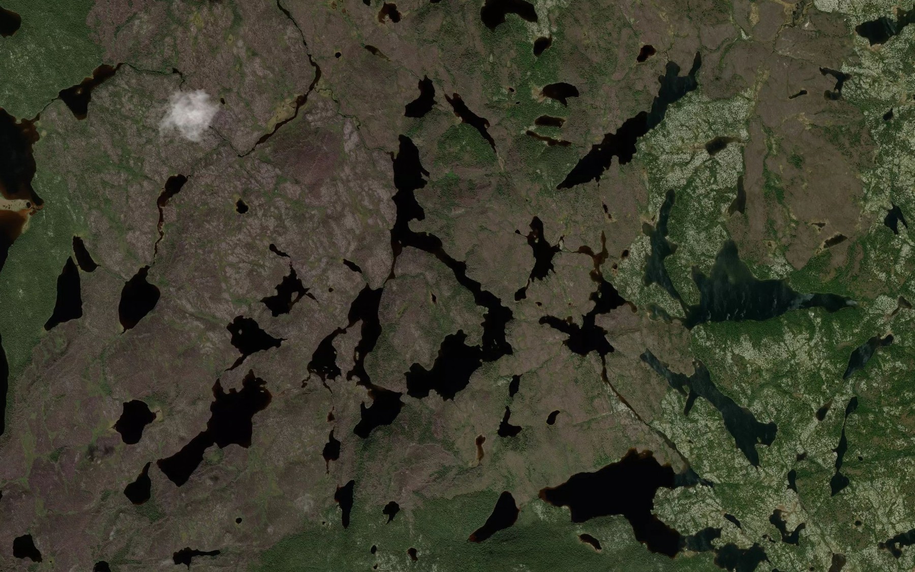 Satellite map of the Lac Constantin