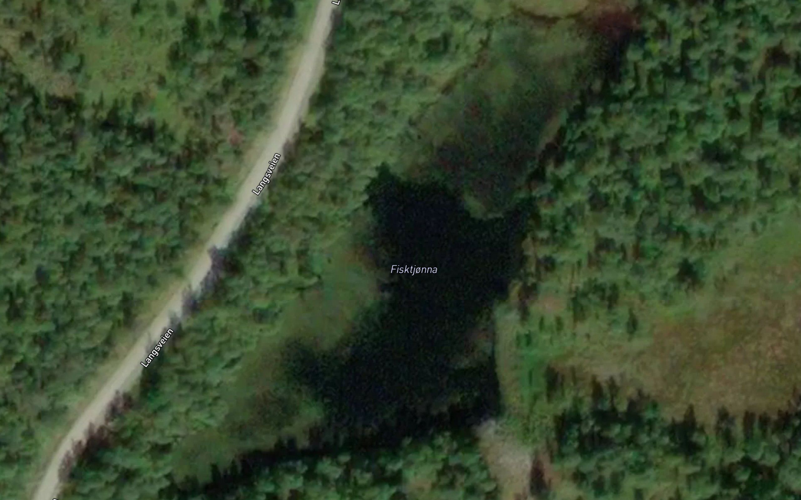 Fisktjonna
