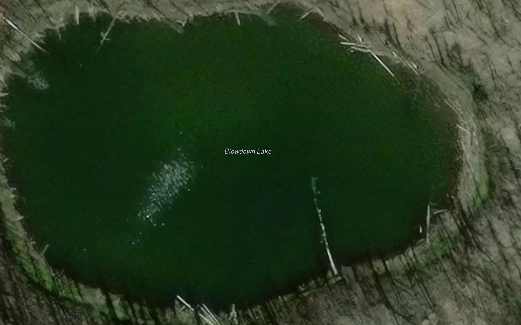 Satellite map of the Blowdown Lake