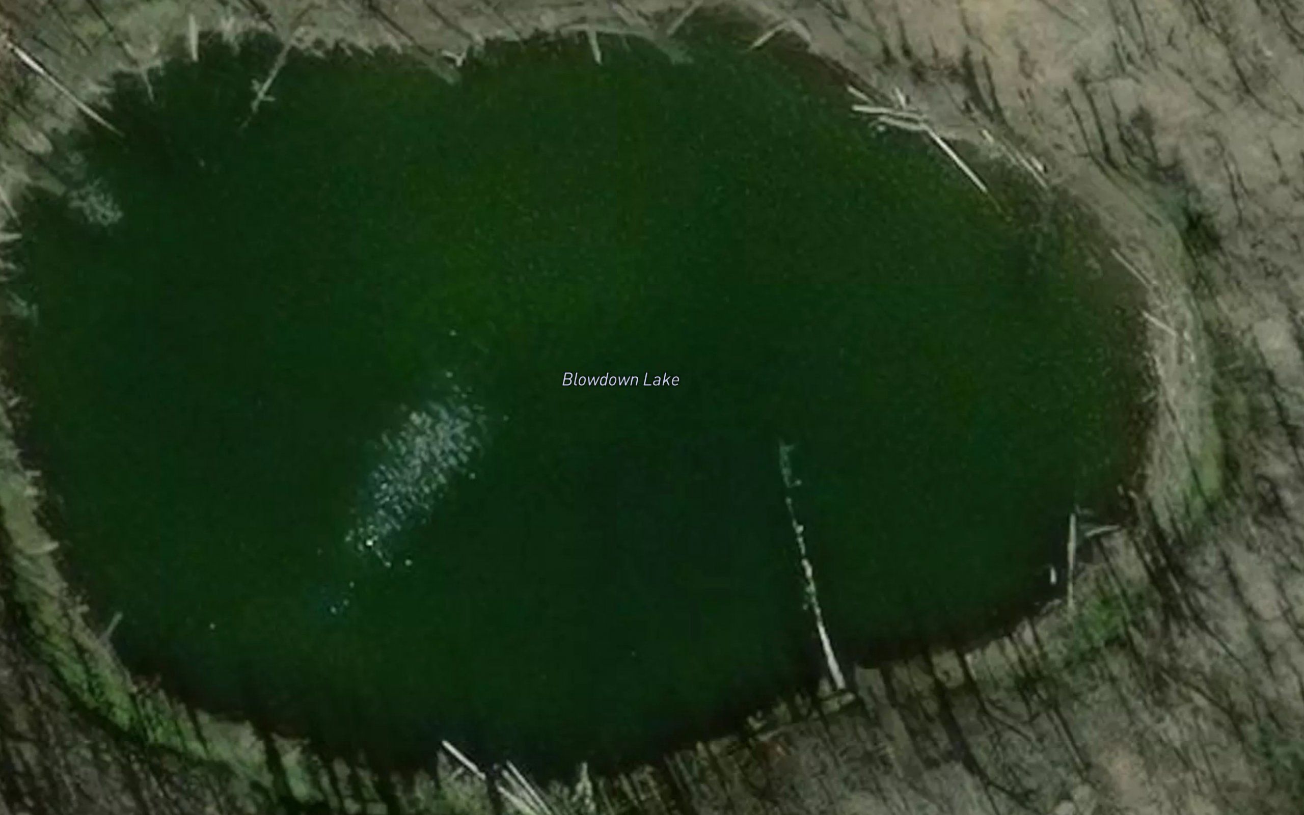 Blowdown Lake