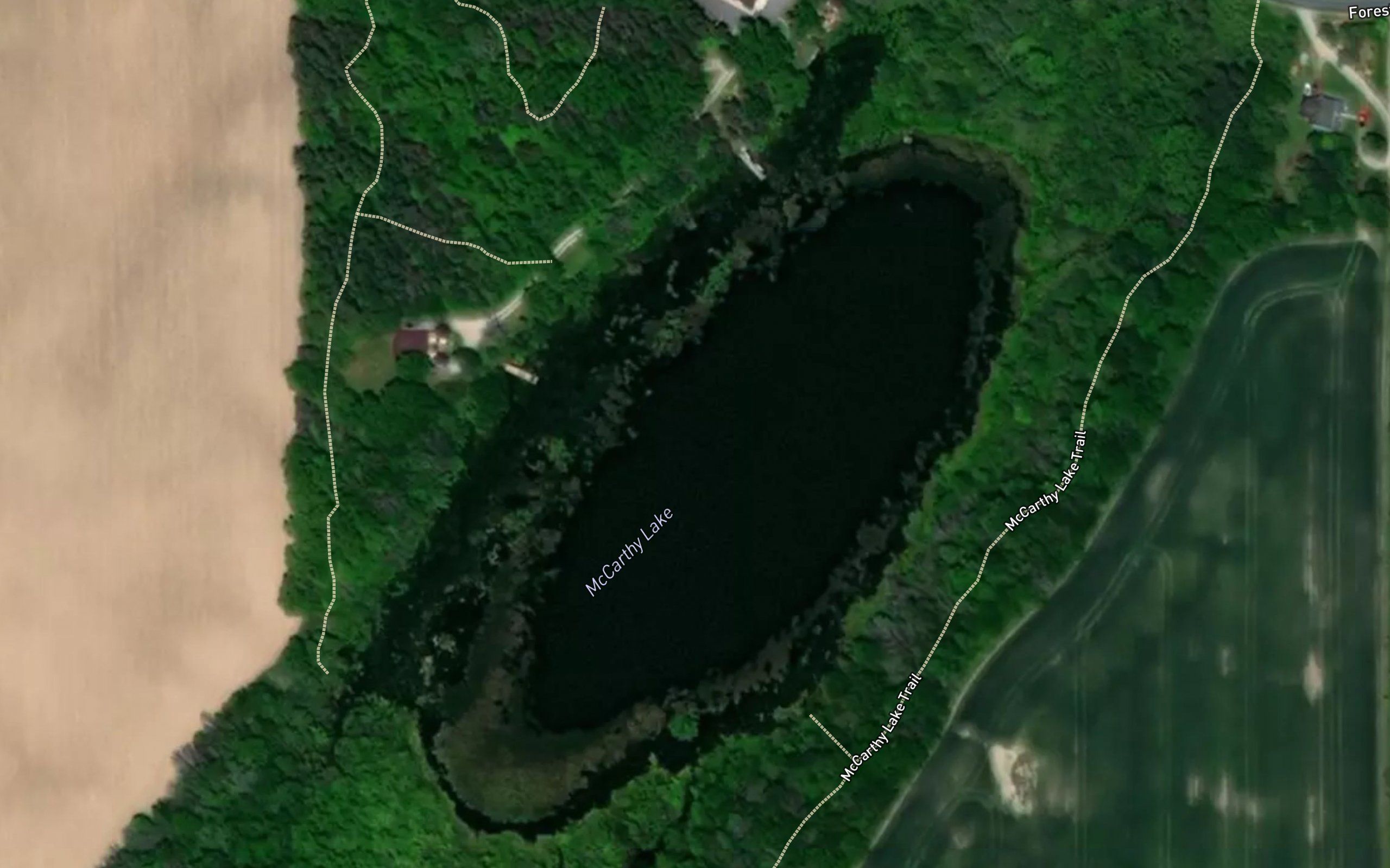 McCarthy Lake