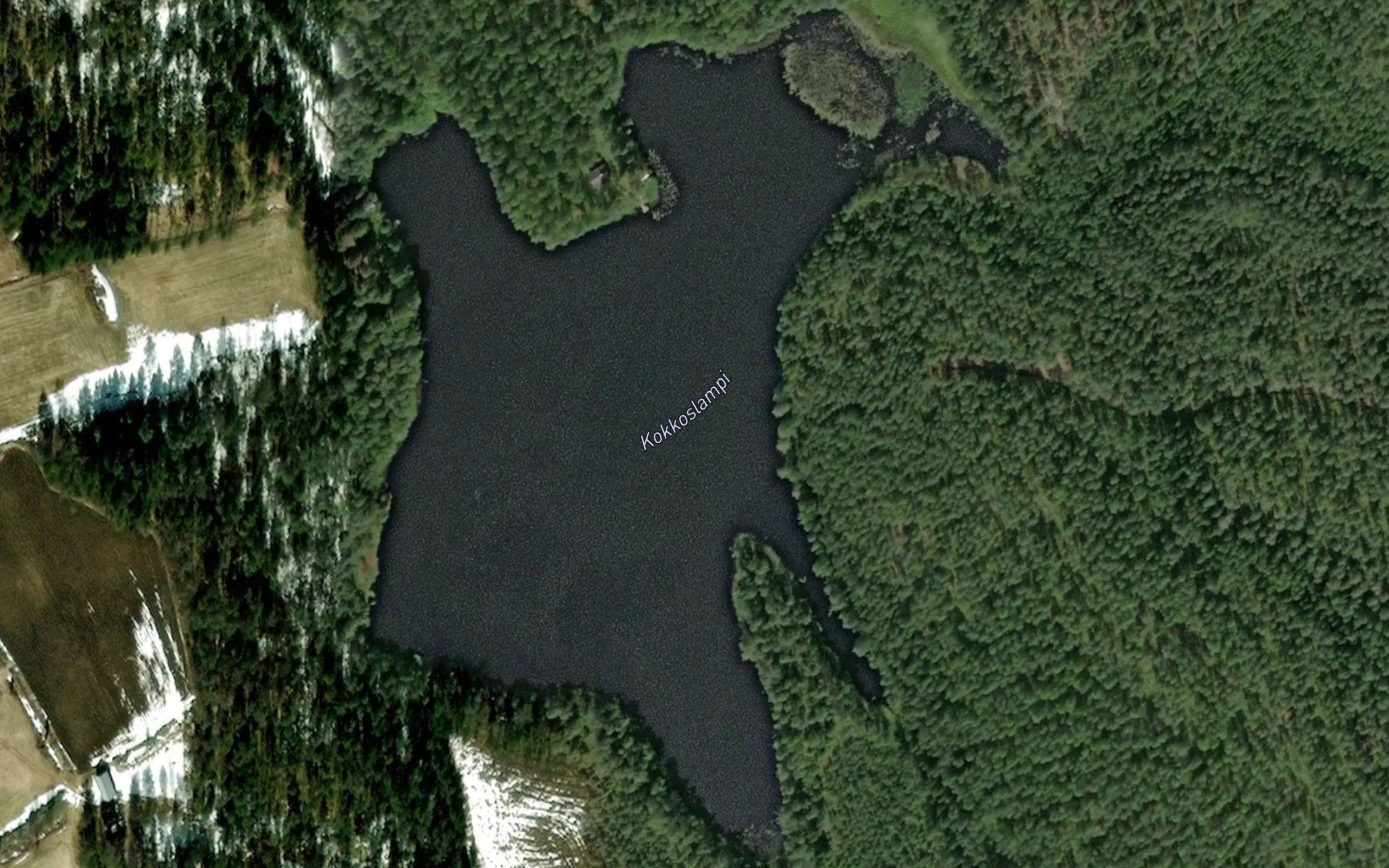 Kokkoslampi