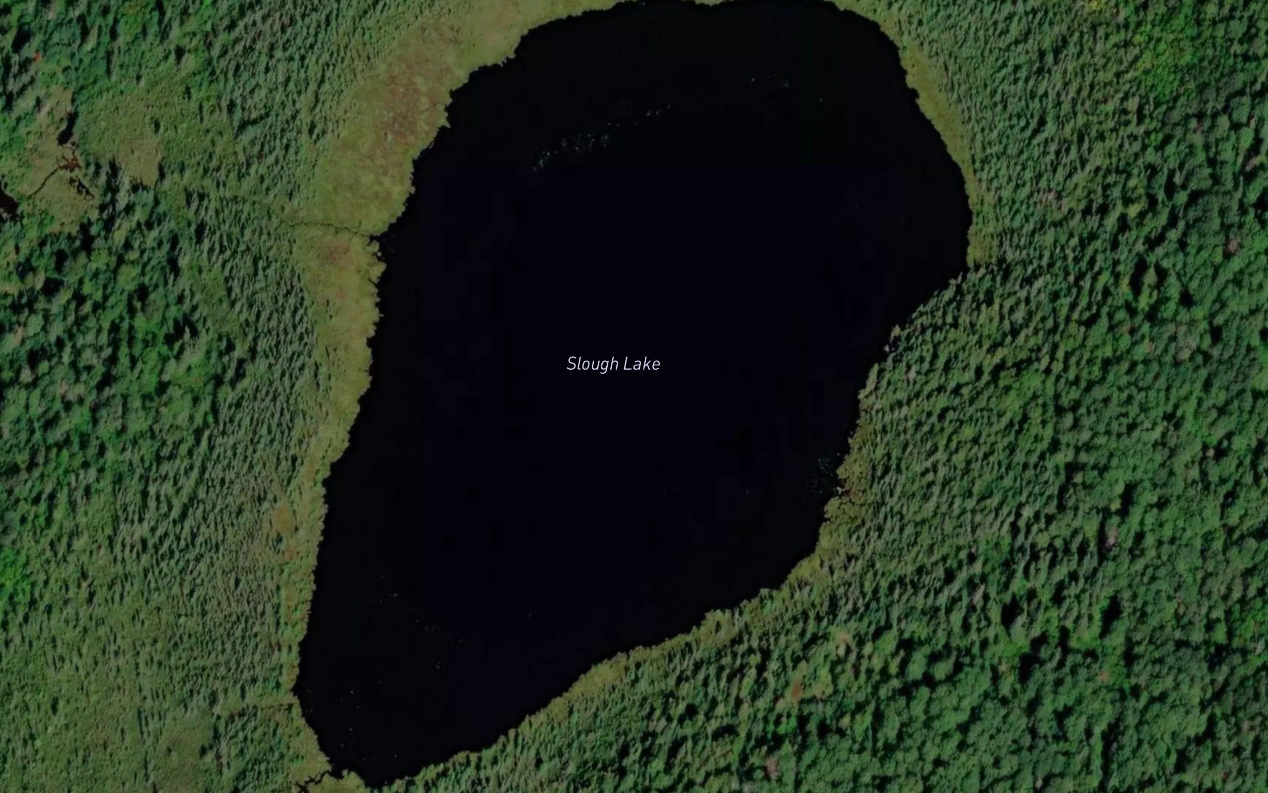 Slough Lake